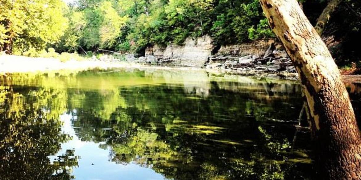 Brivity 1380 McHaffie Rd Taneyville, MO 65759