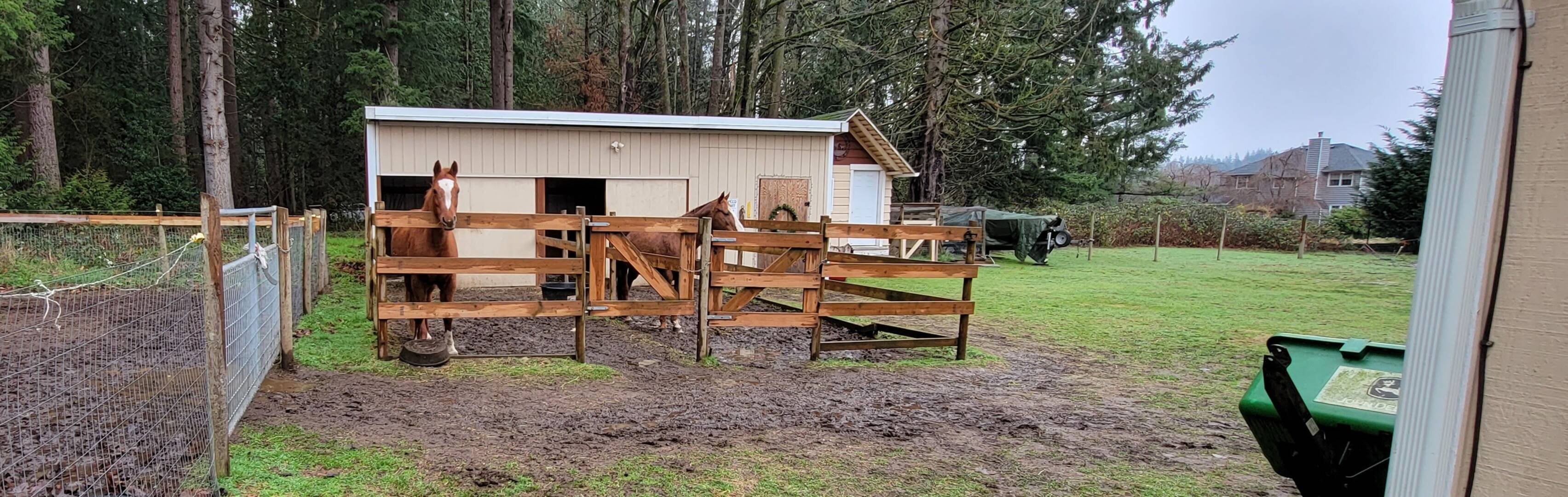 3762 Sorenson Rd, Everson, WA 98247