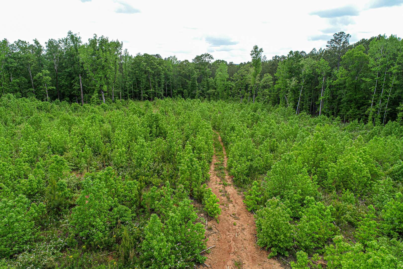 364 Rough Rd Flovilla , Georgia 30216
