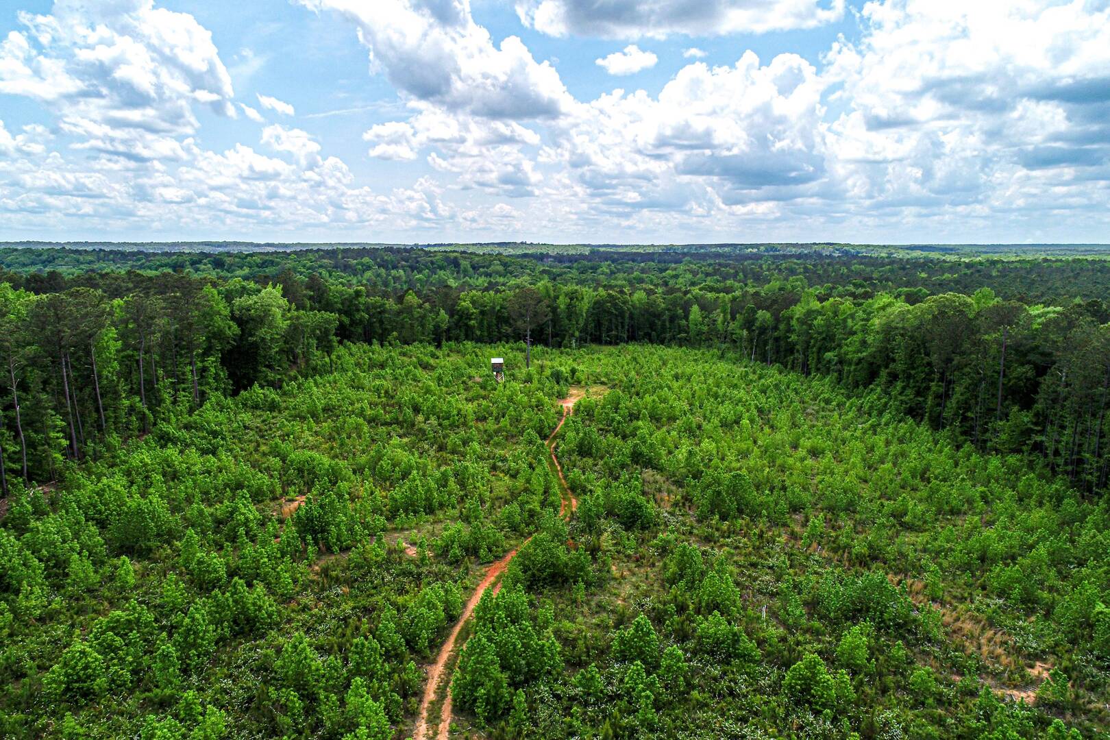 364 Rough Rd Flovilla , Georgia 30216