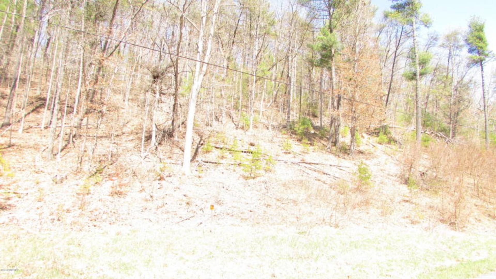 Brivity 206 Bear Trail Bastian, VA 24314 Virtual Tour