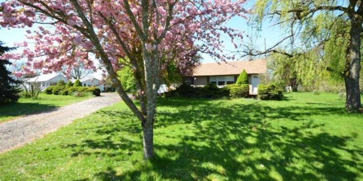 Brivity 93940 River Road Junction City, OR 97448