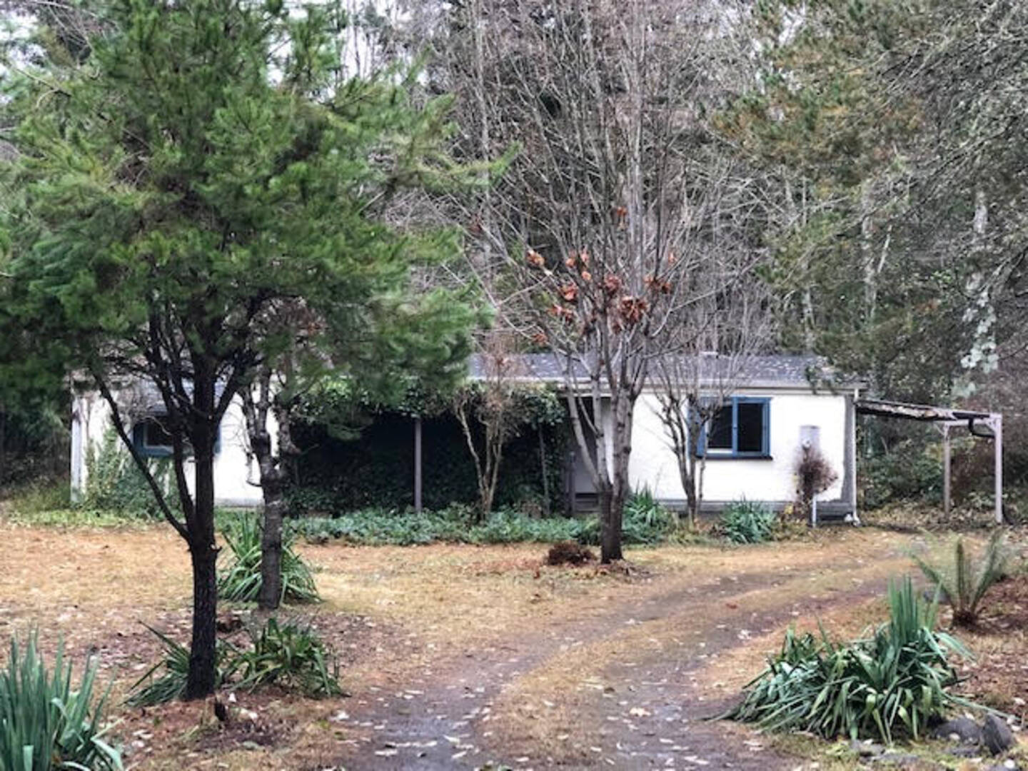 14019 139th Street Ct NW Gig Harbor, WA 98329