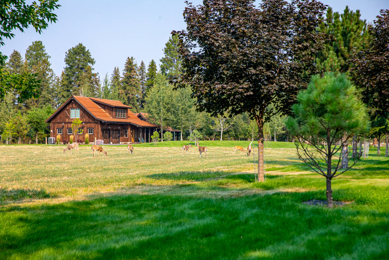155 North Pines Road Whitefish, MT 59939