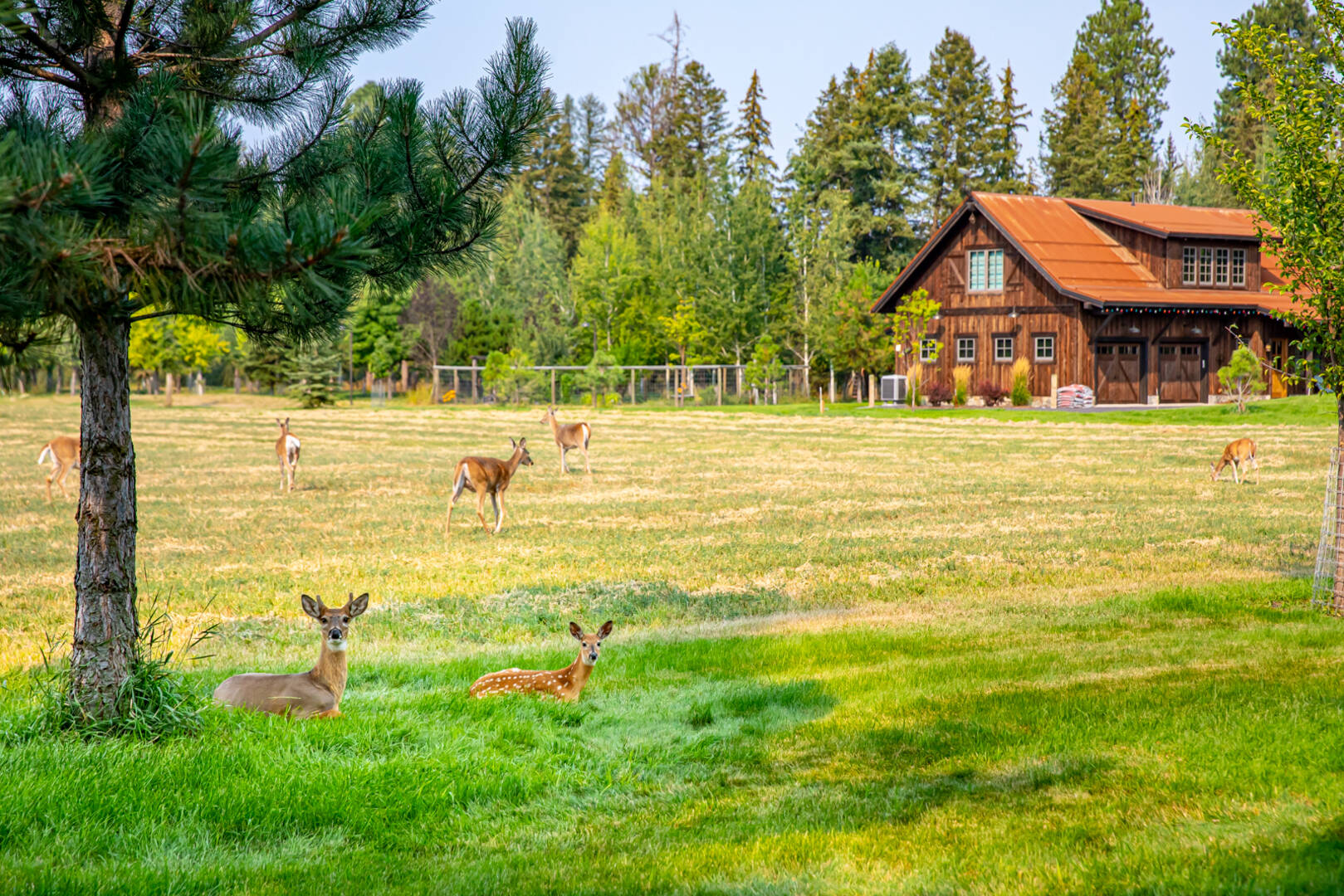 155 North Pines Road Whitefish, MT 59939