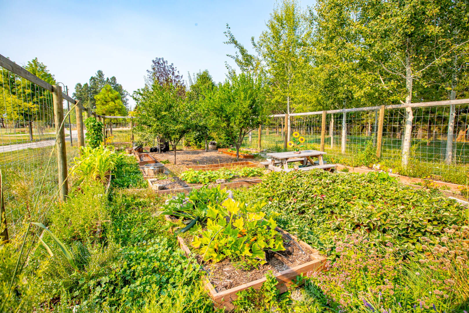 155 North Pines Road Whitefish, MT 59939