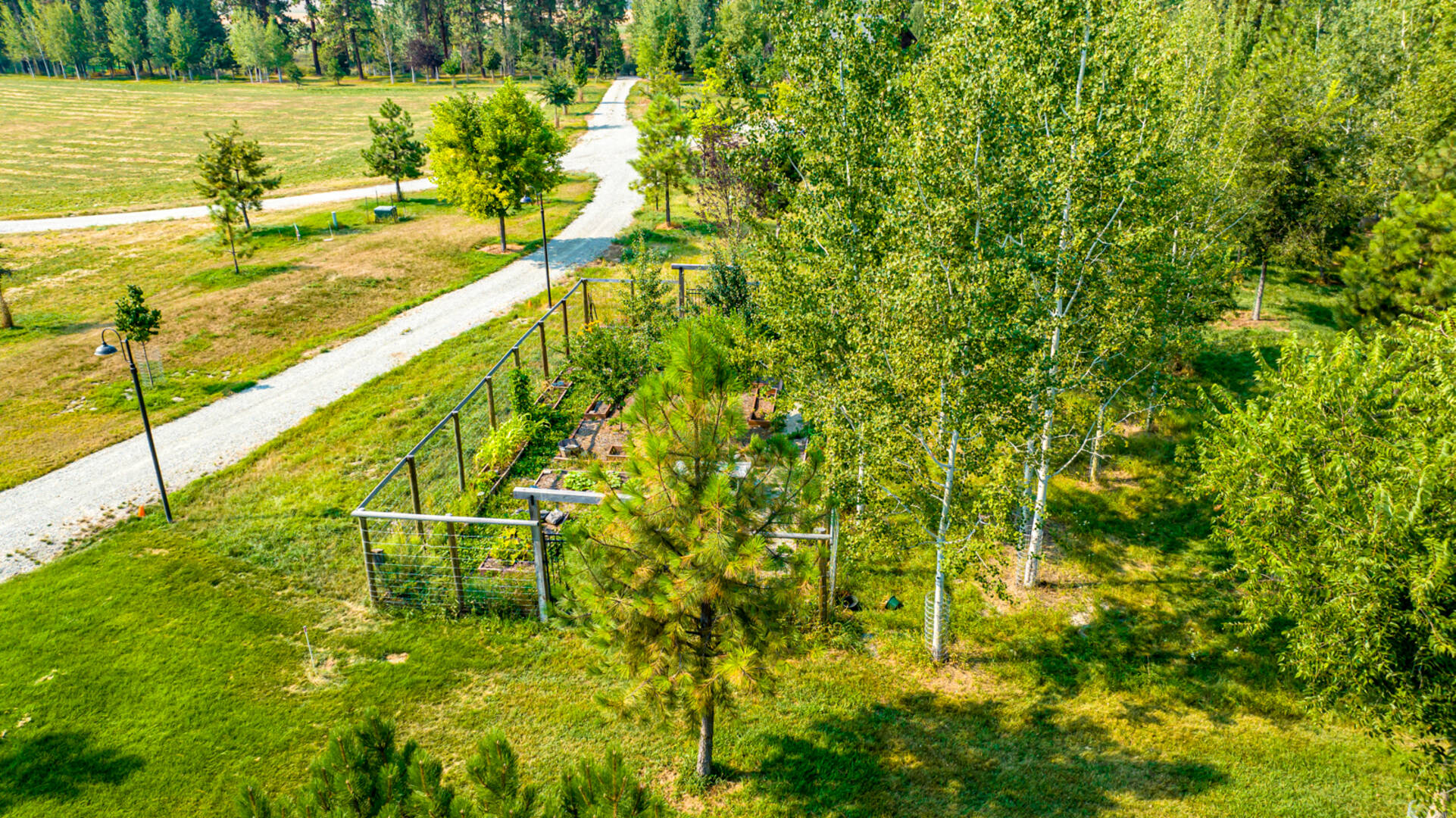 155 North Pines Road Whitefish, MT 59939