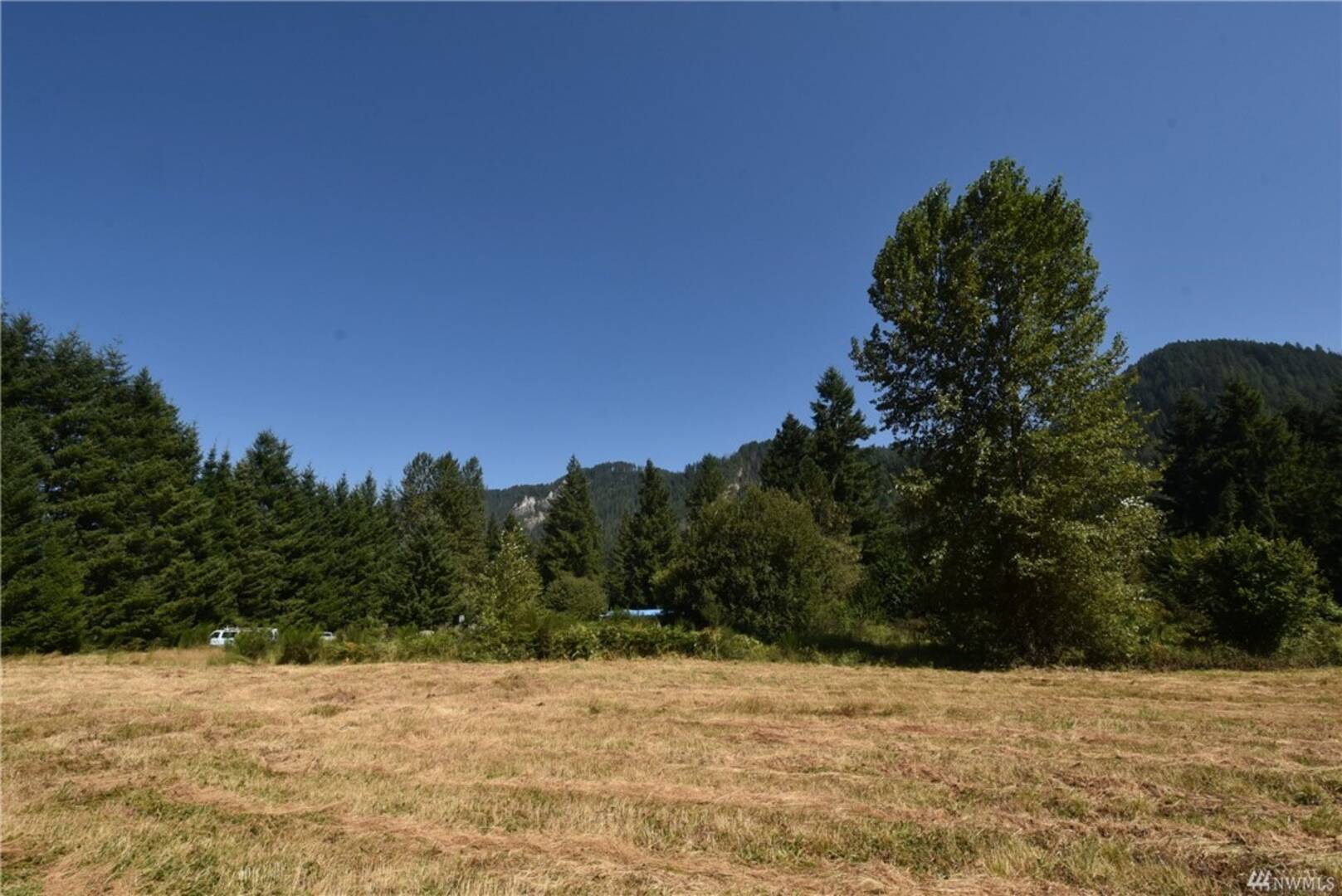 3963 Nelson Rd,  Deming, WA  98244