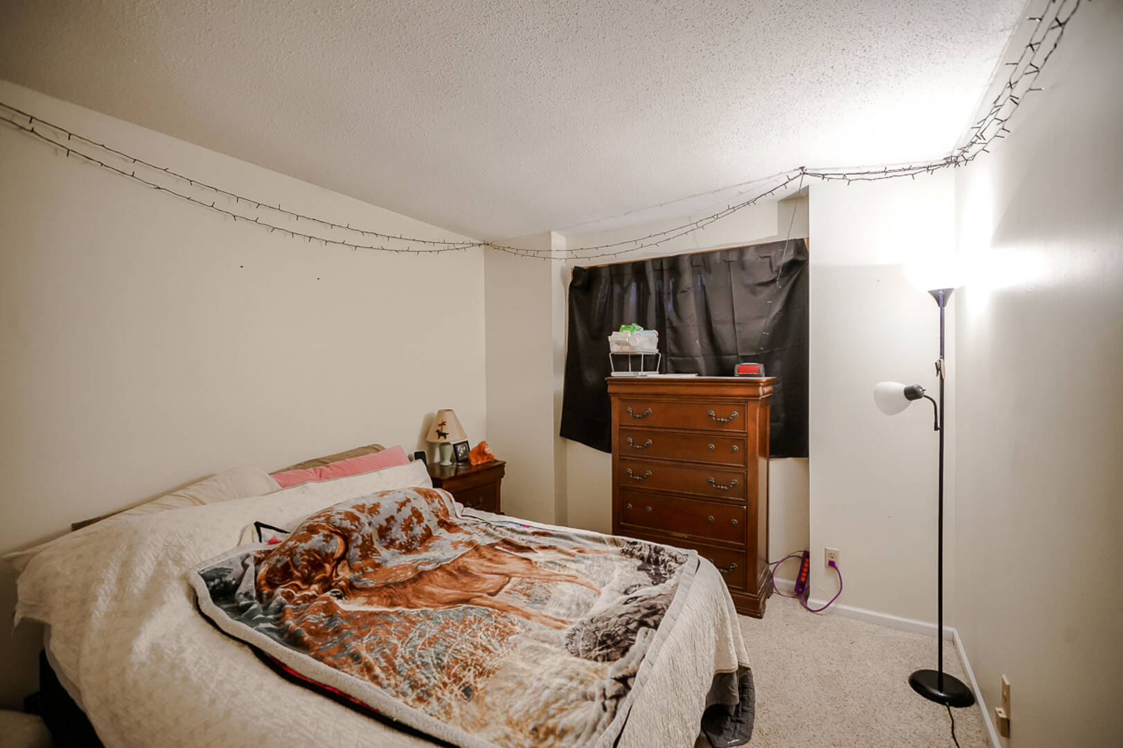 6316 N Allen Rd Unit #17 Peoria, IL 61614