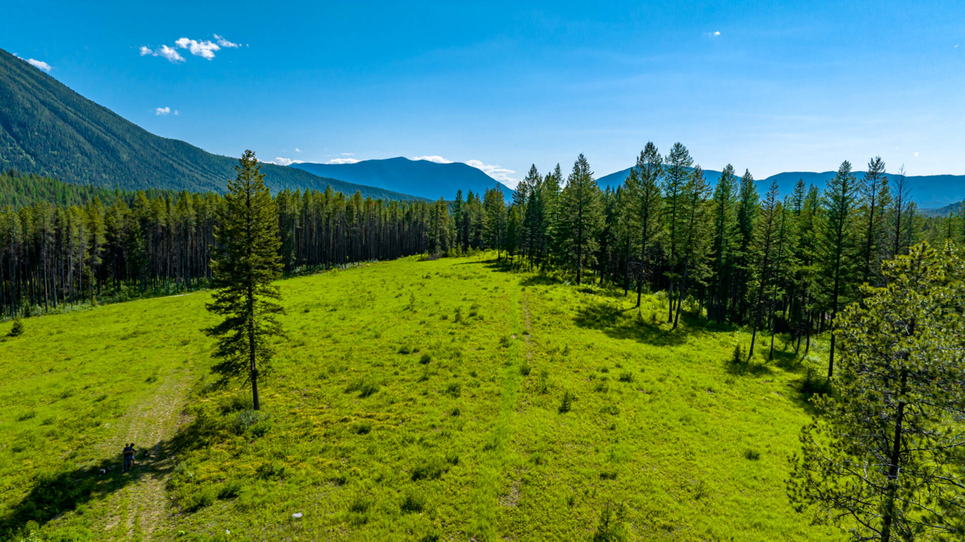 NHN Halfmoon Flats Rd West Glacier, MT 59936