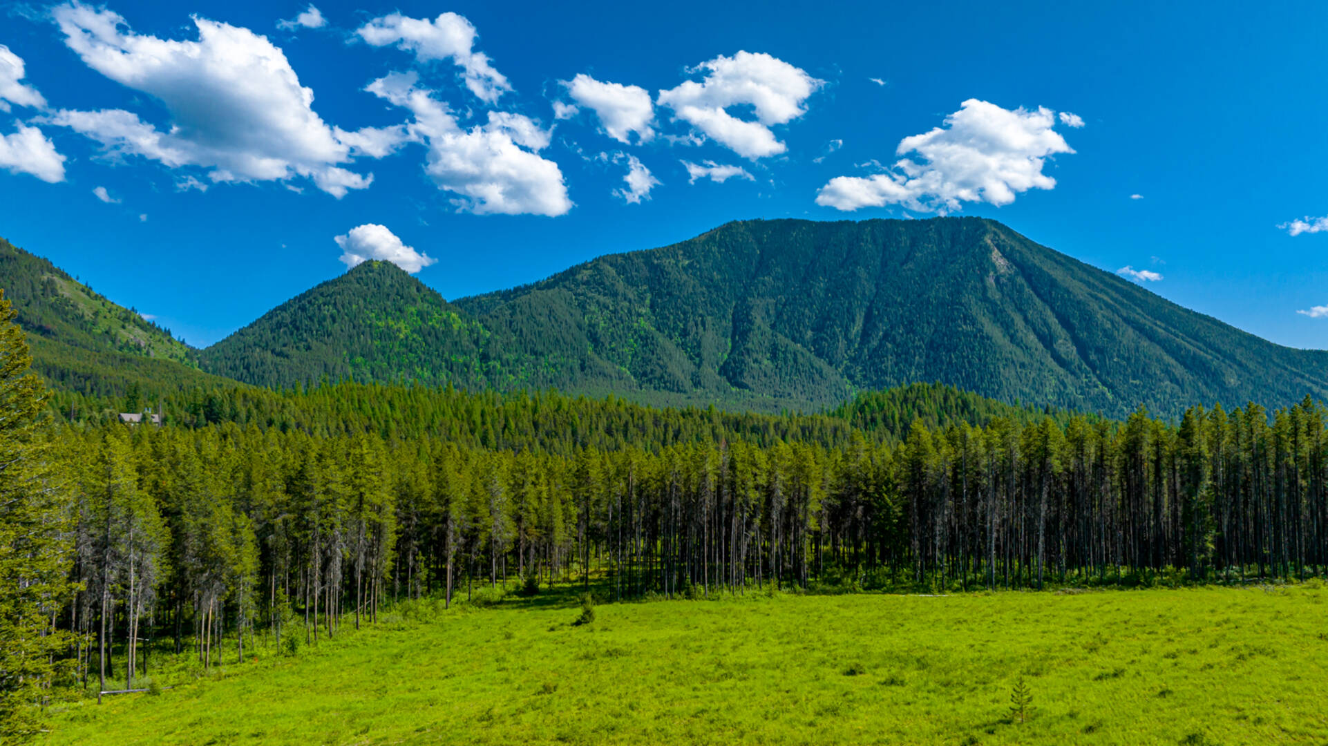 NHN Halfmoon Flats Rd West Glacier, MT 59936