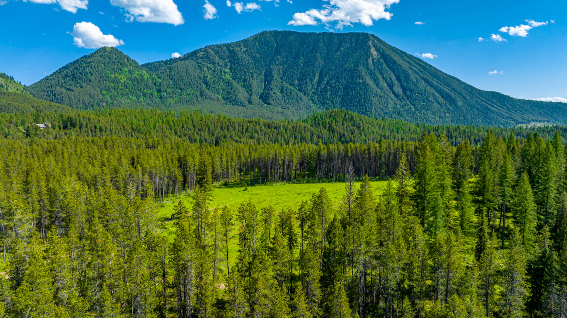 NHN Halfmoon Flats Rd West Glacier, MT 59936