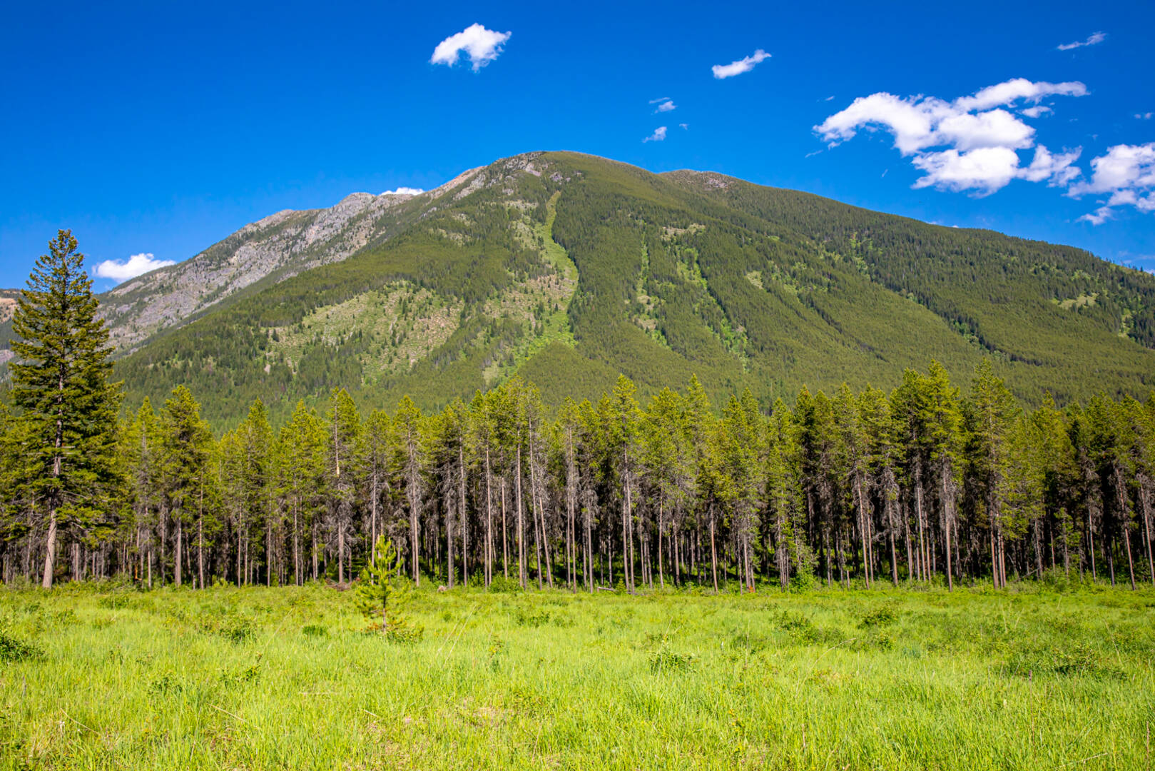 NHN Halfmoon Flats Rd West Glacier, MT 59936
