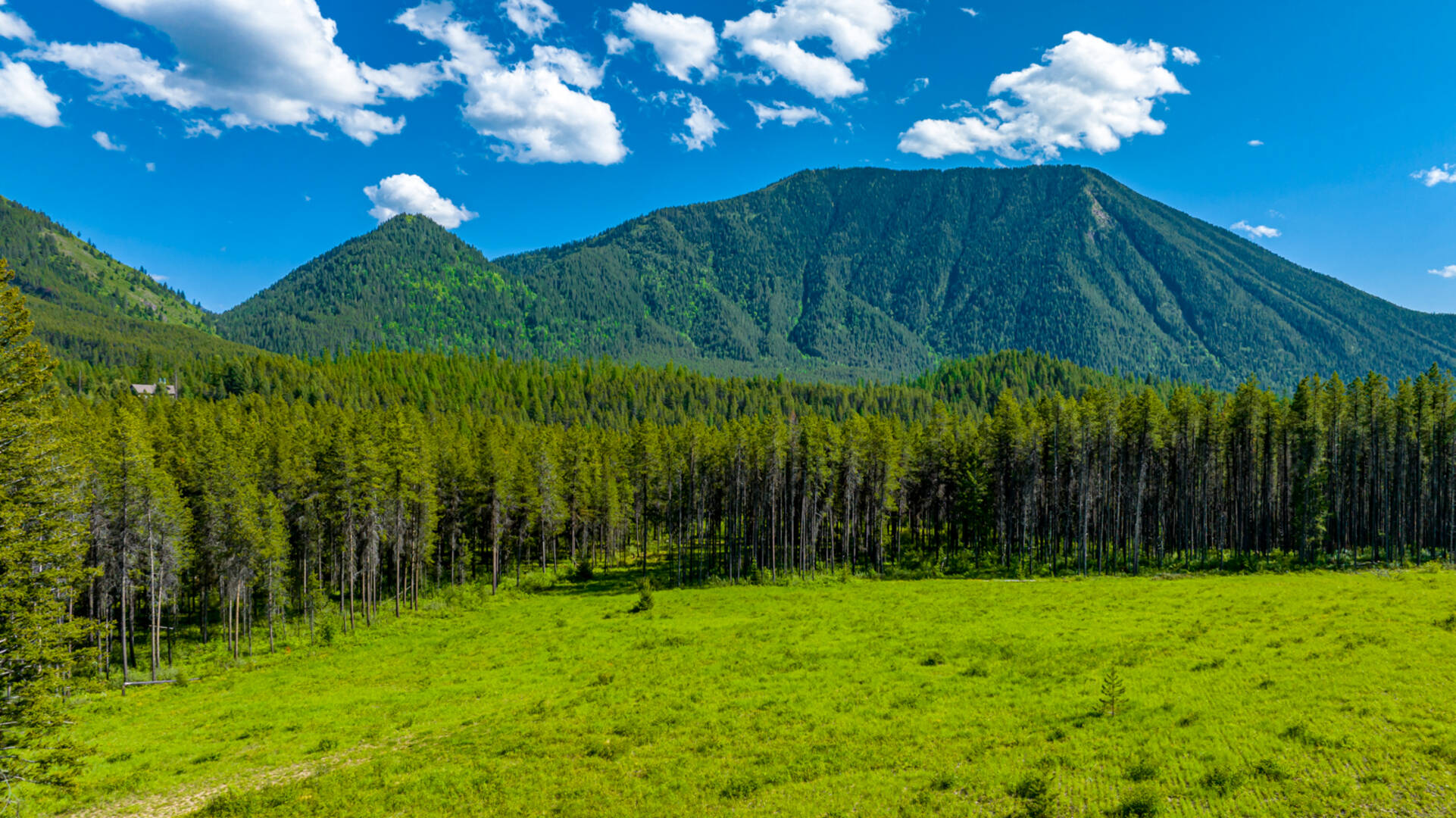 NHN Halfmoon Flats Rd West Glacier, MT 59936