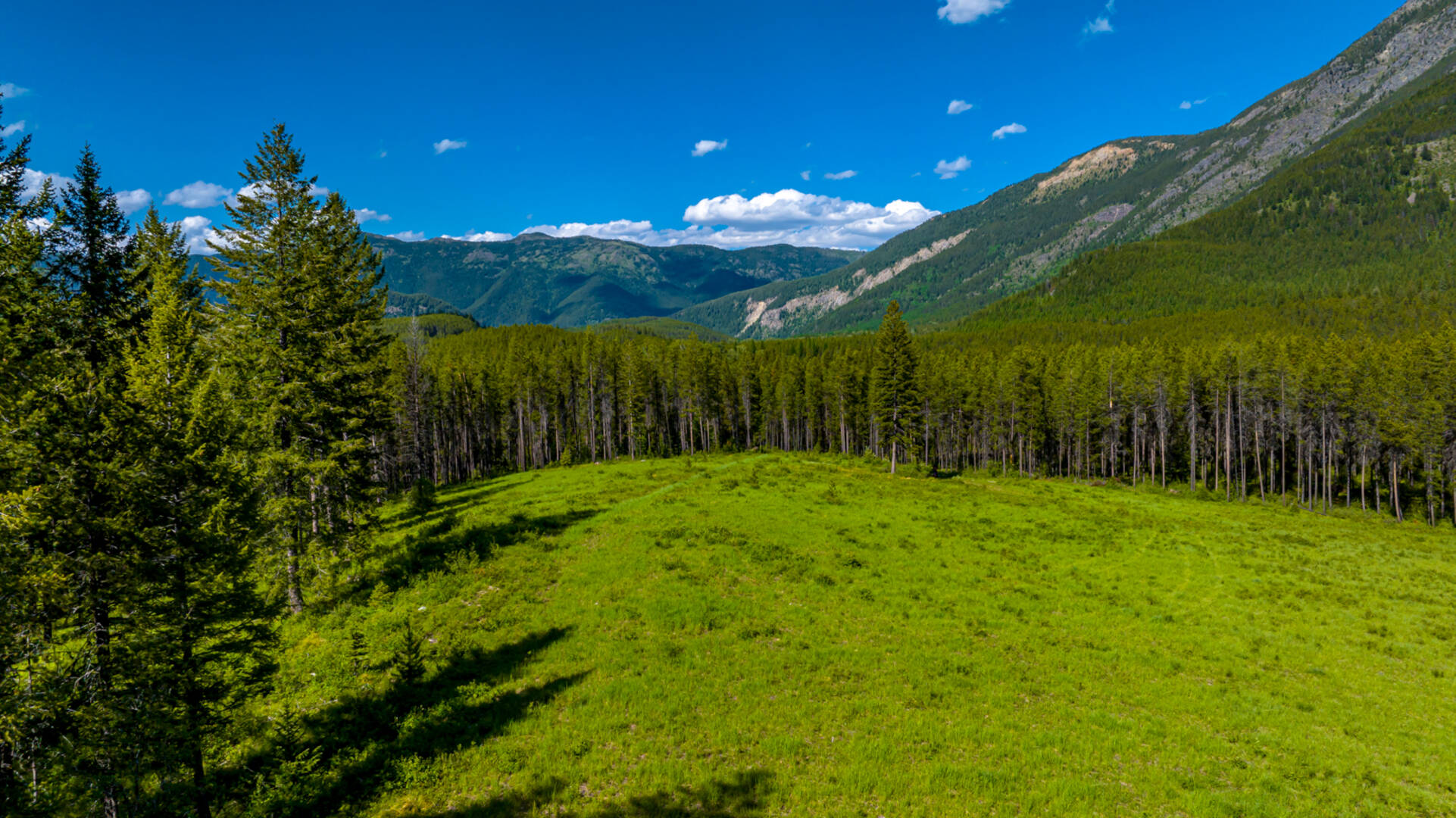 NHN Halfmoon Flats Rd West Glacier, MT 59936