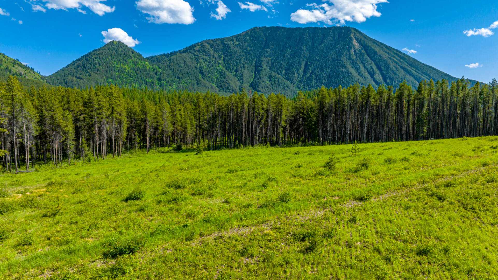 NHN Halfmoon Flats Rd West Glacier, MT 59936