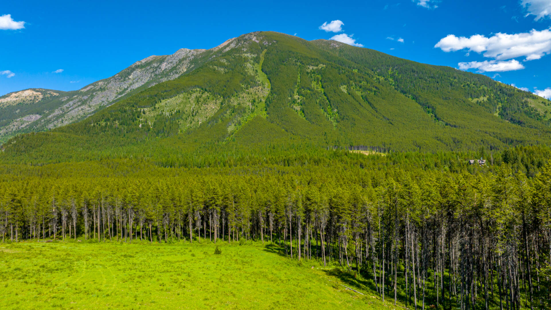 NHN Halfmoon Flats Rd West Glacier, MT 59936