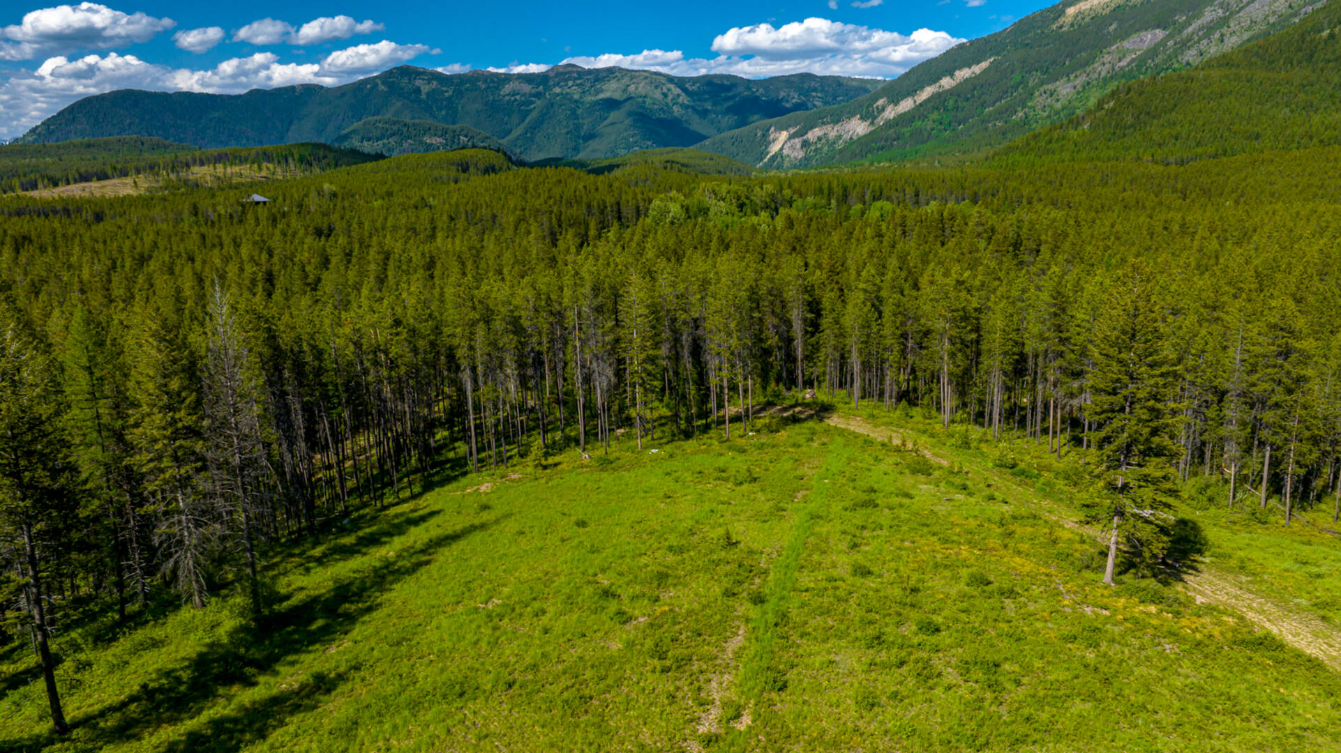 NHN Halfmoon Flats Rd West Glacier, MT 59936