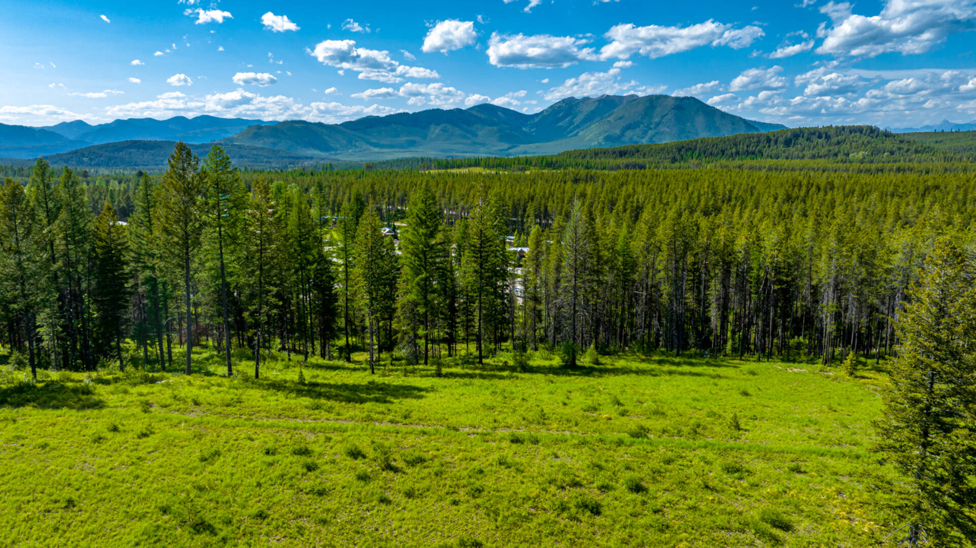 NHN Halfmoon Flats Rd West Glacier, MT 59936