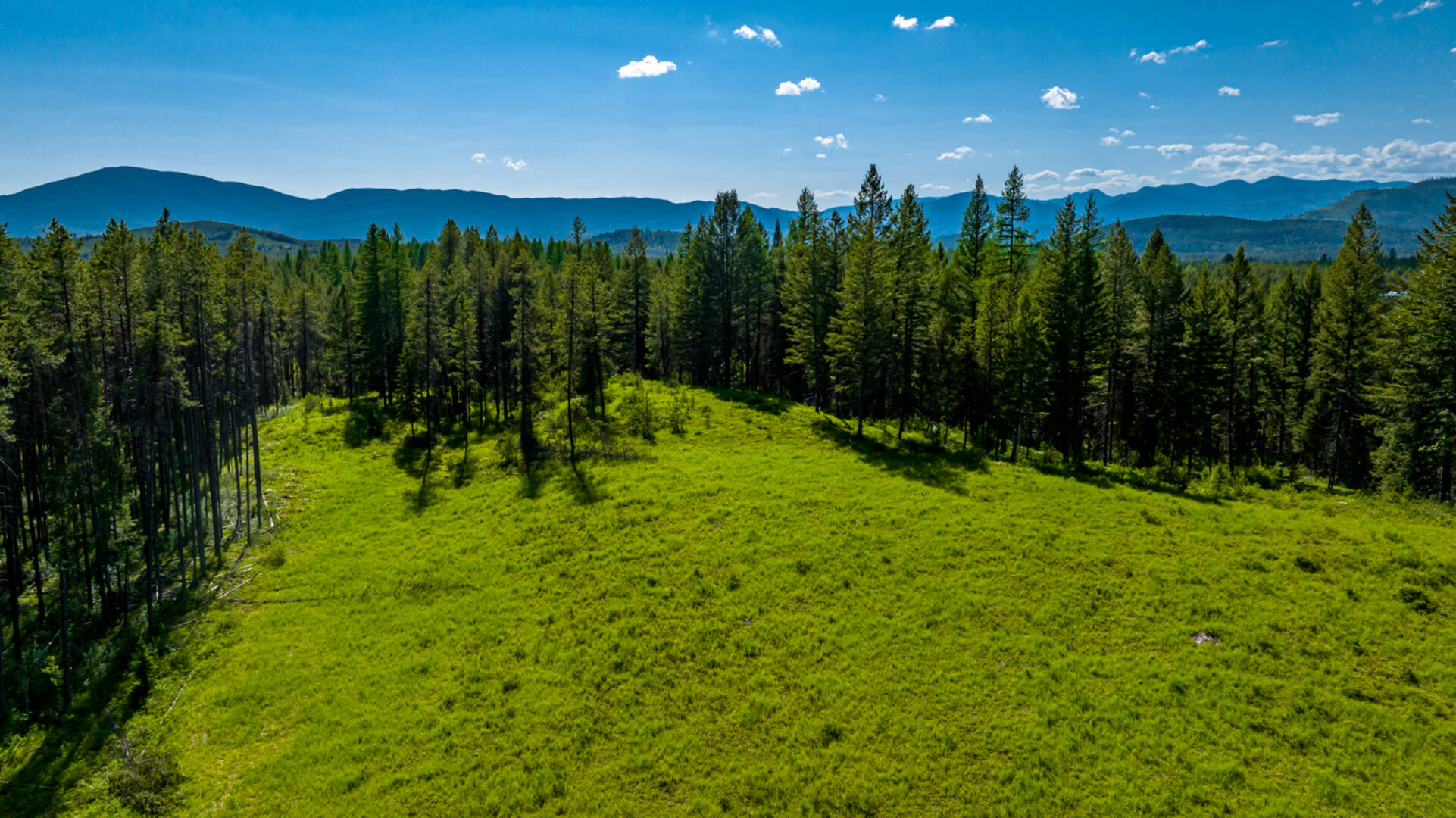 NHN Halfmoon Flats Rd West Glacier, MT 59936