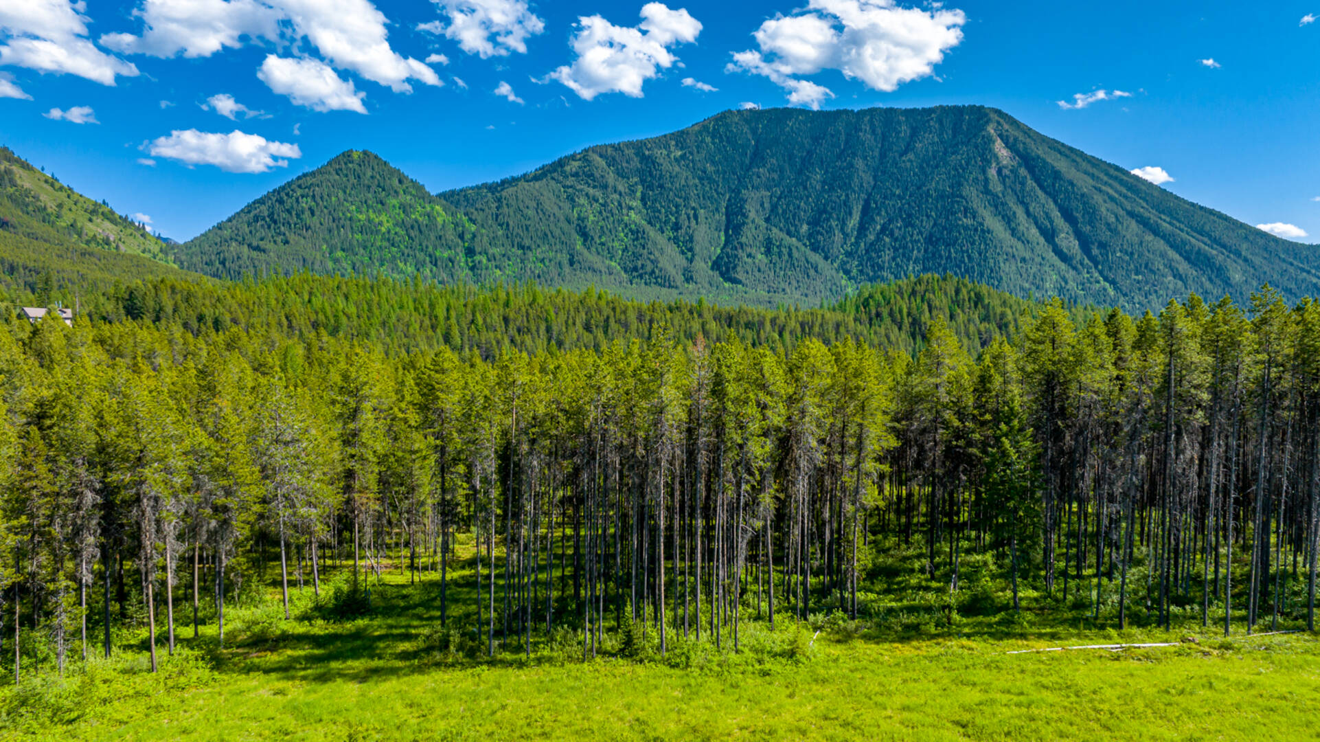 NHN Halfmoon Flats Rd West Glacier, MT 59936