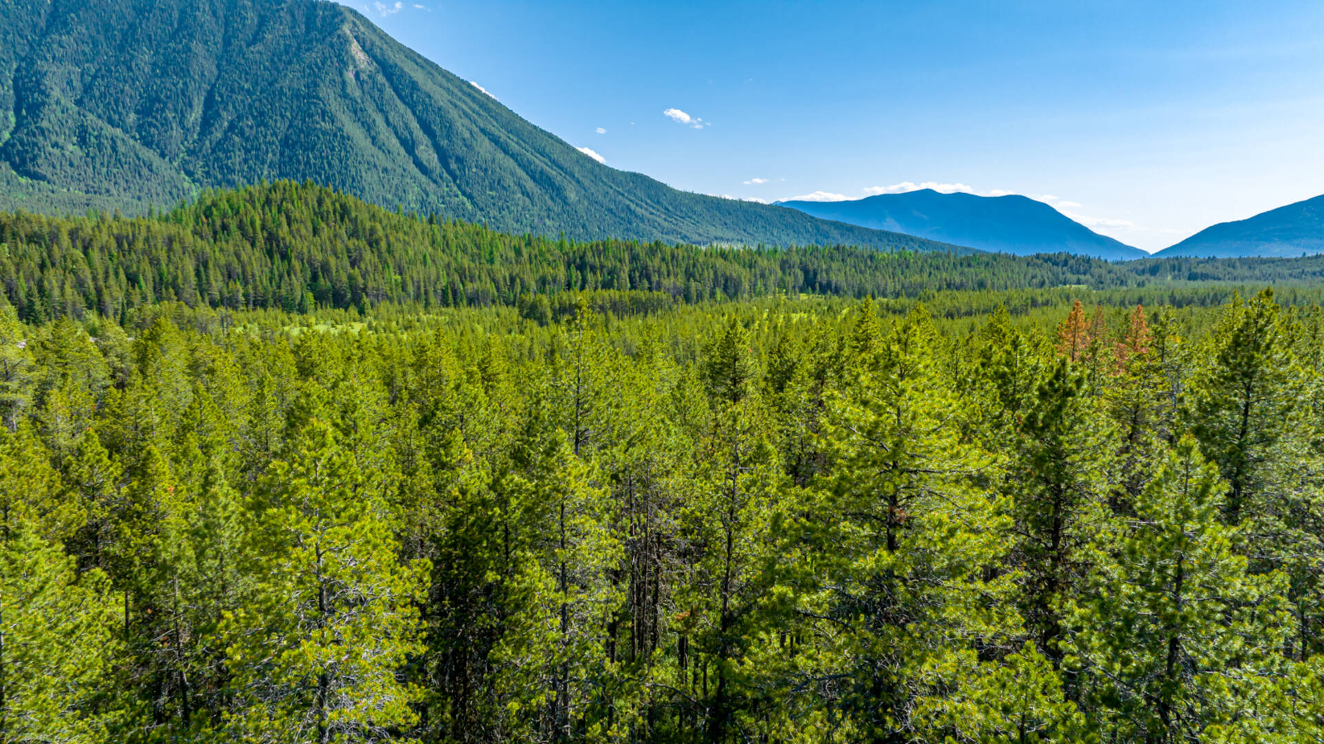 NHN Halfmoon Flats Rd West Glacier, MT 59936