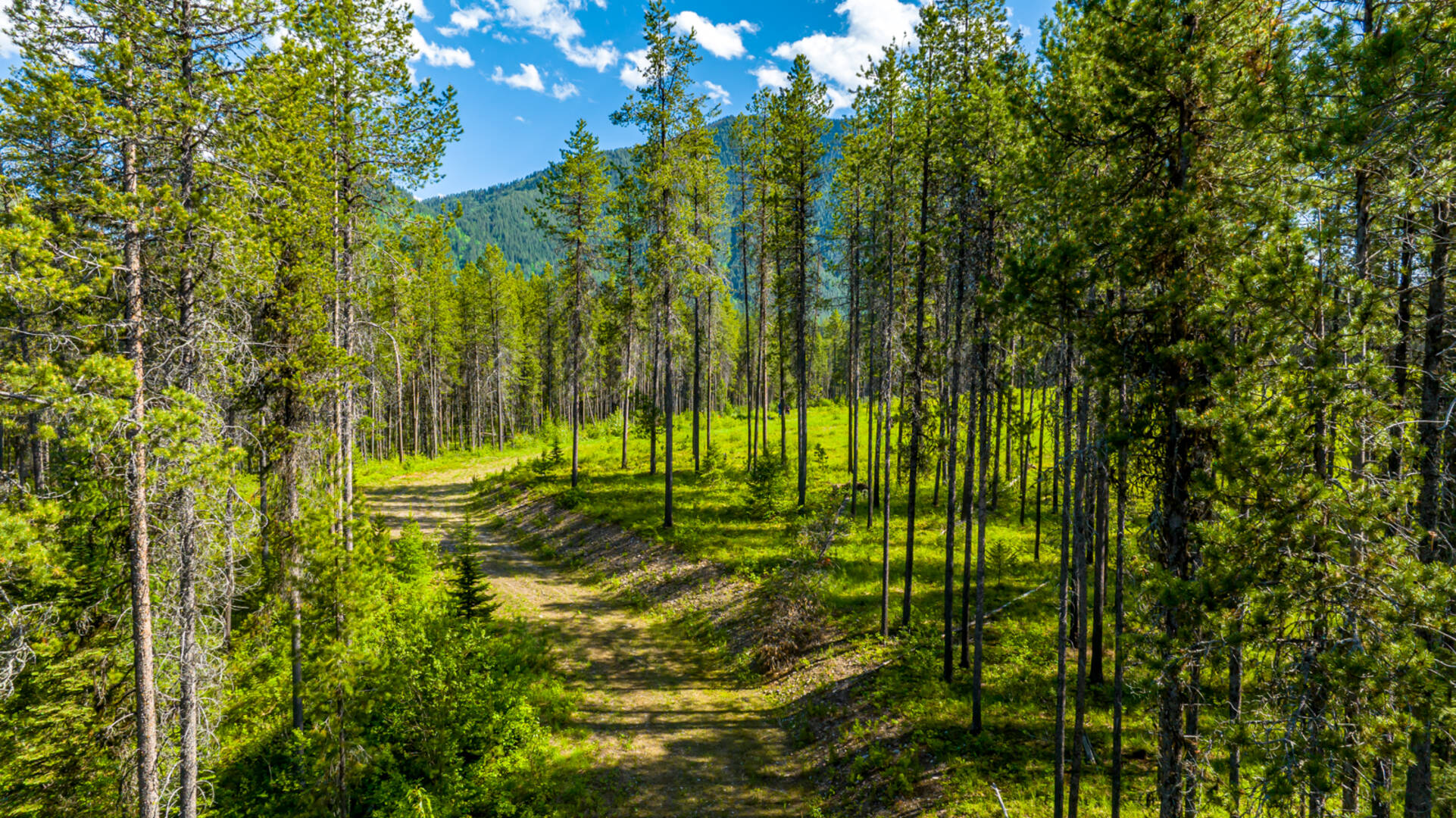 NHN Halfmoon Flats Rd West Glacier, MT 59936
