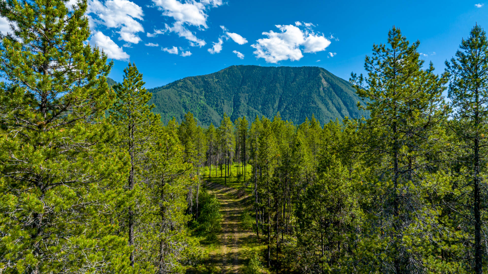 NHN Halfmoon Flats Rd West Glacier, MT 59936