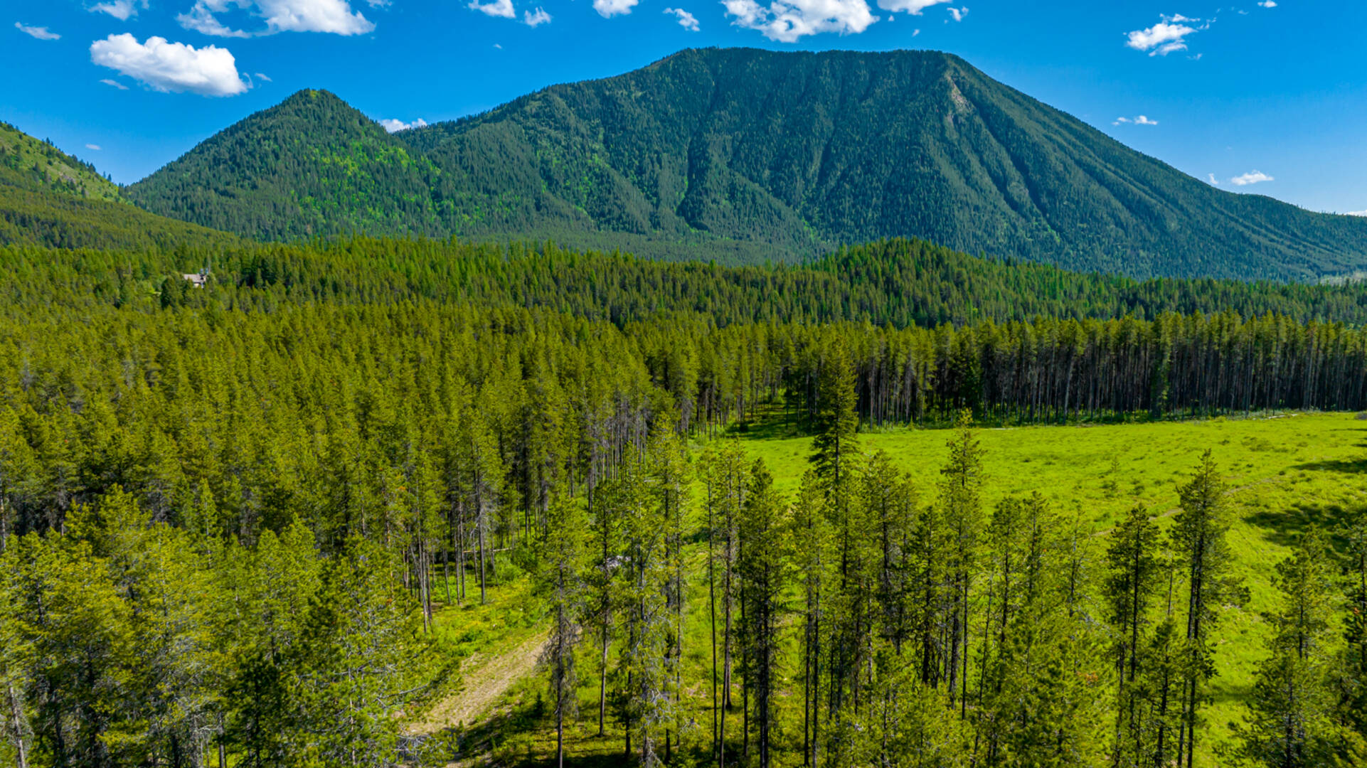 NHN Halfmoon Flats Rd West Glacier, MT 59936