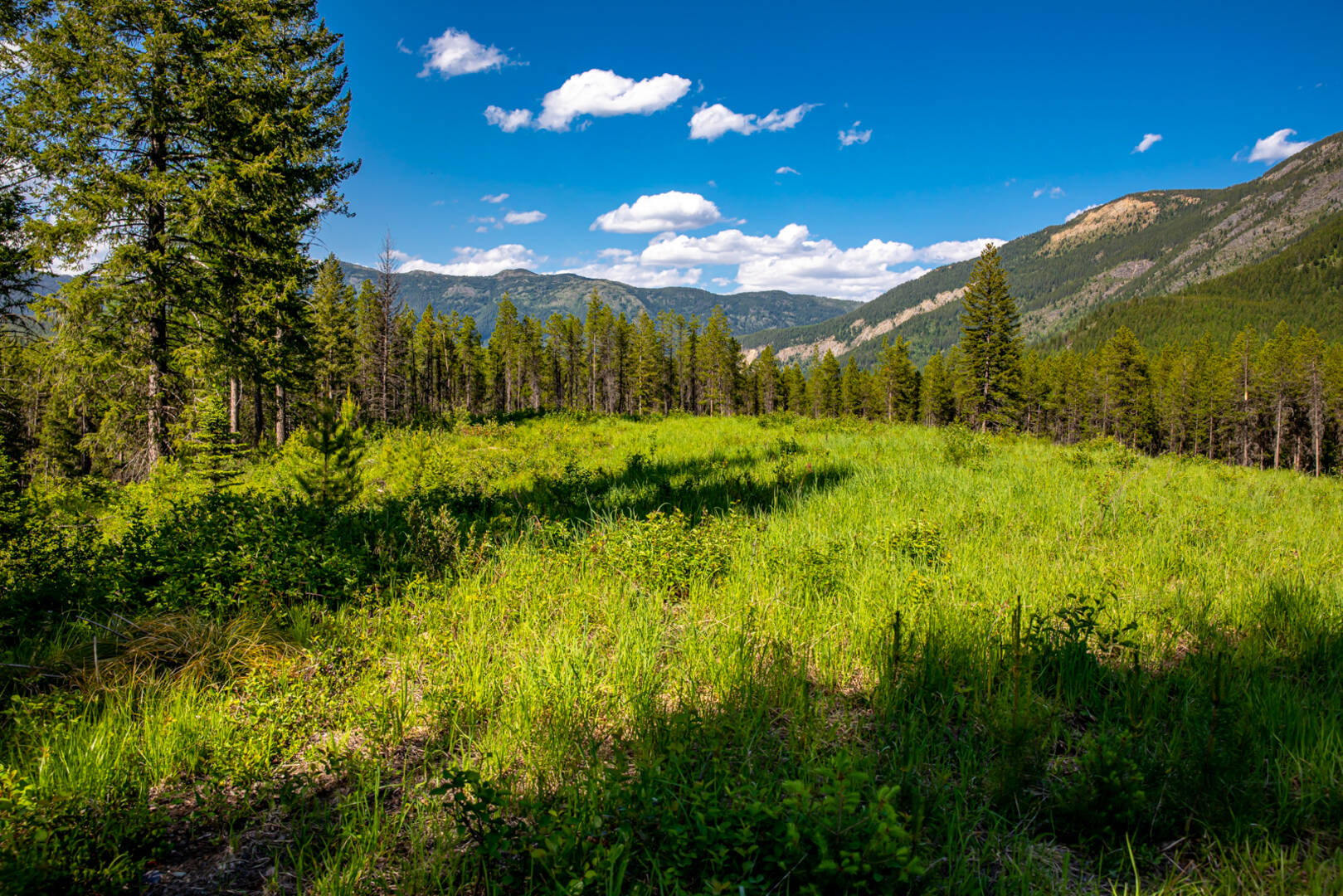 NHN Halfmoon Flats Rd West Glacier, MT 59936