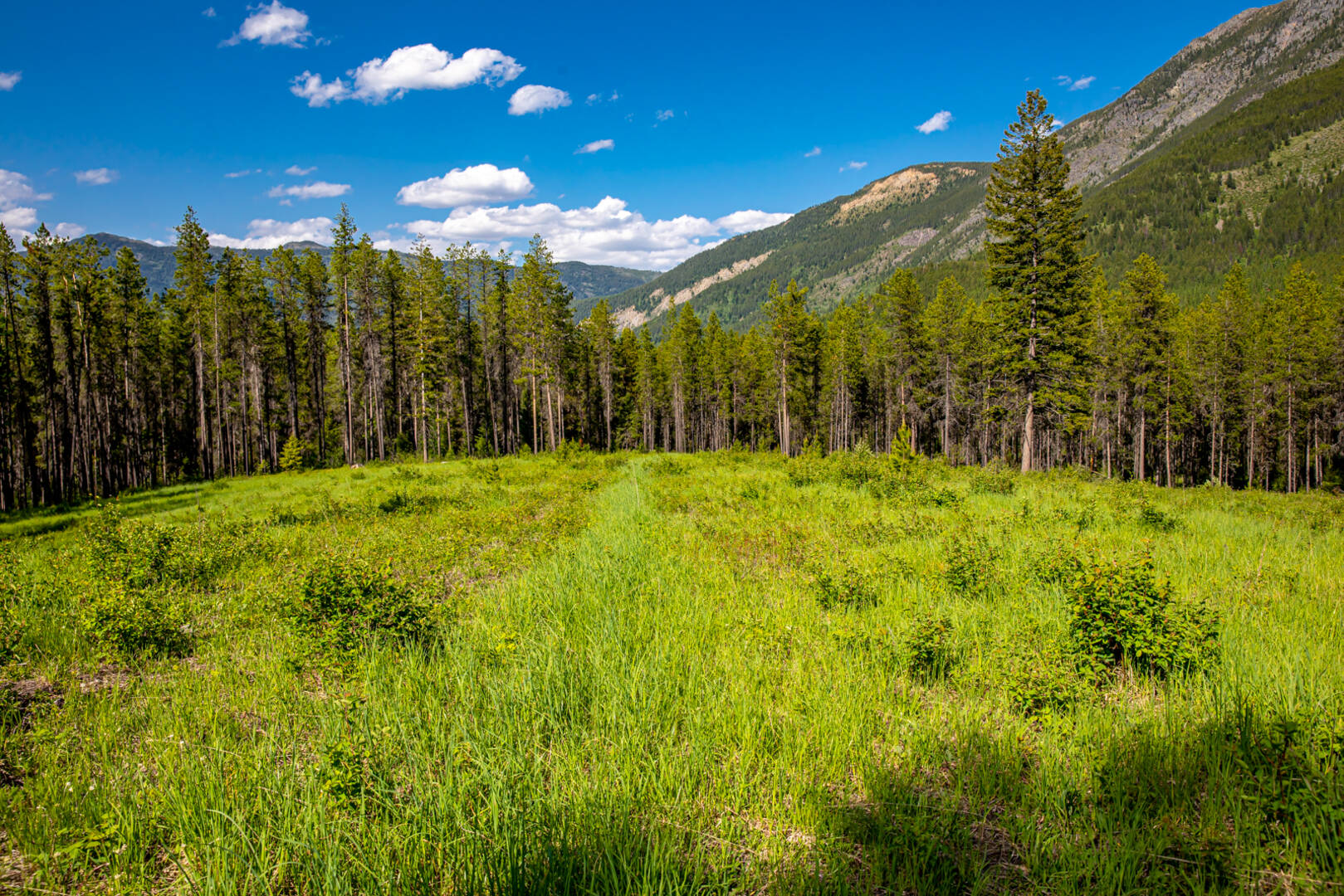 NHN Halfmoon Flats Rd West Glacier, MT 59936