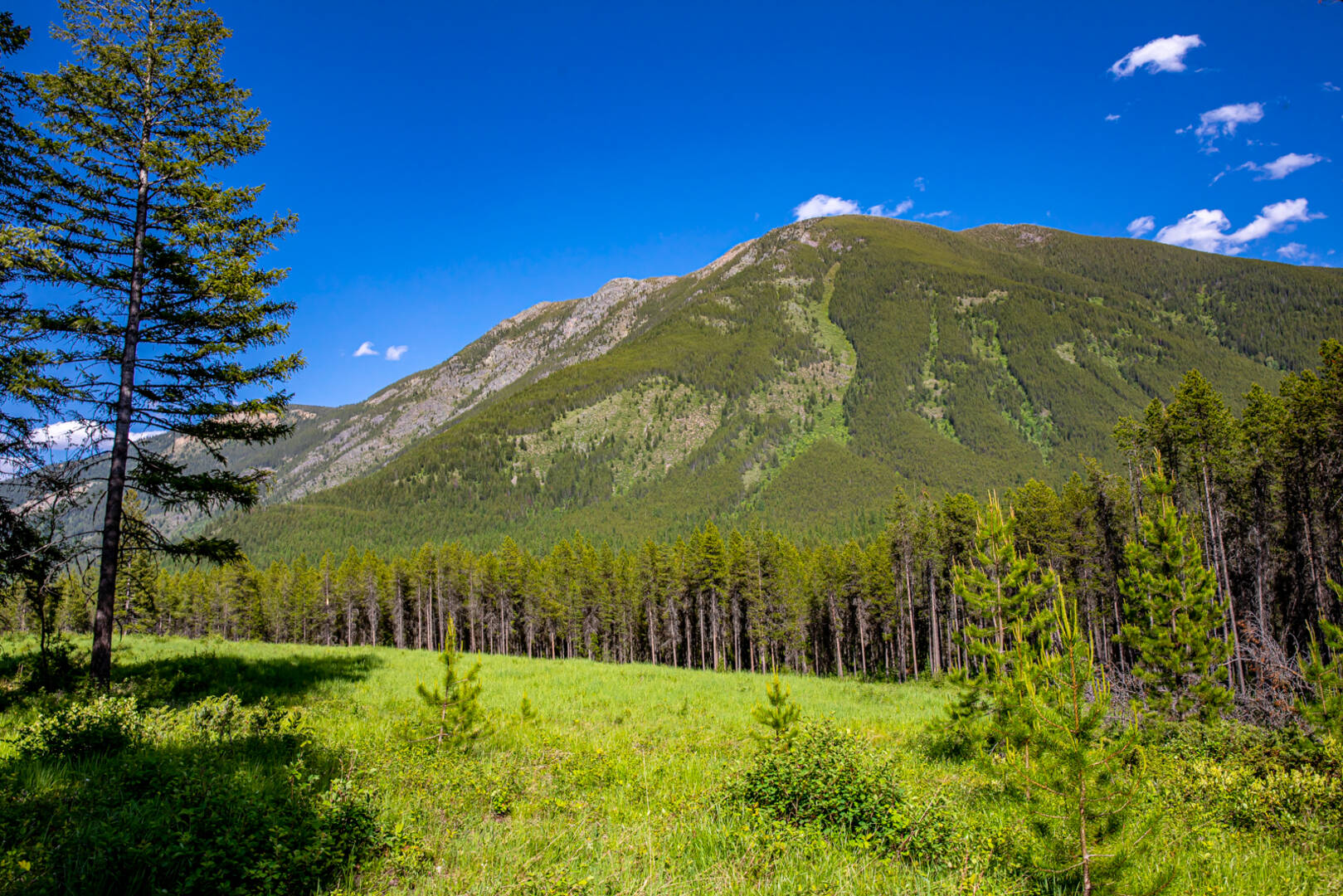 NHN Halfmoon Flats Rd West Glacier, MT 59936