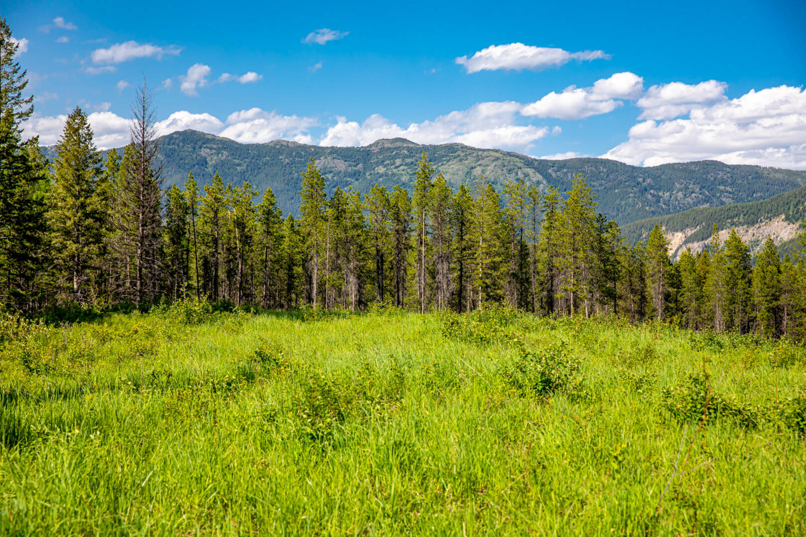 NHN Halfmoon Flats Rd West Glacier, MT 59936