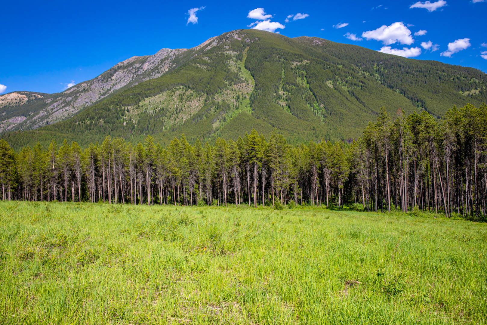 NHN Halfmoon Flats Rd West Glacier, MT 59936