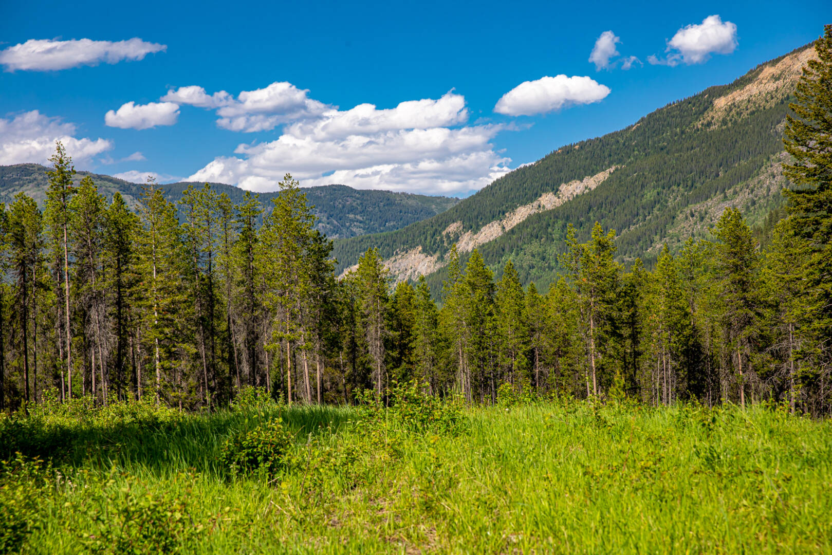 NHN Halfmoon Flats Rd West Glacier, MT 59936