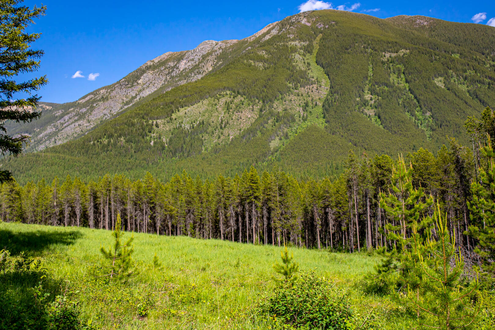 NHN Halfmoon Flats Rd West Glacier, MT 59936