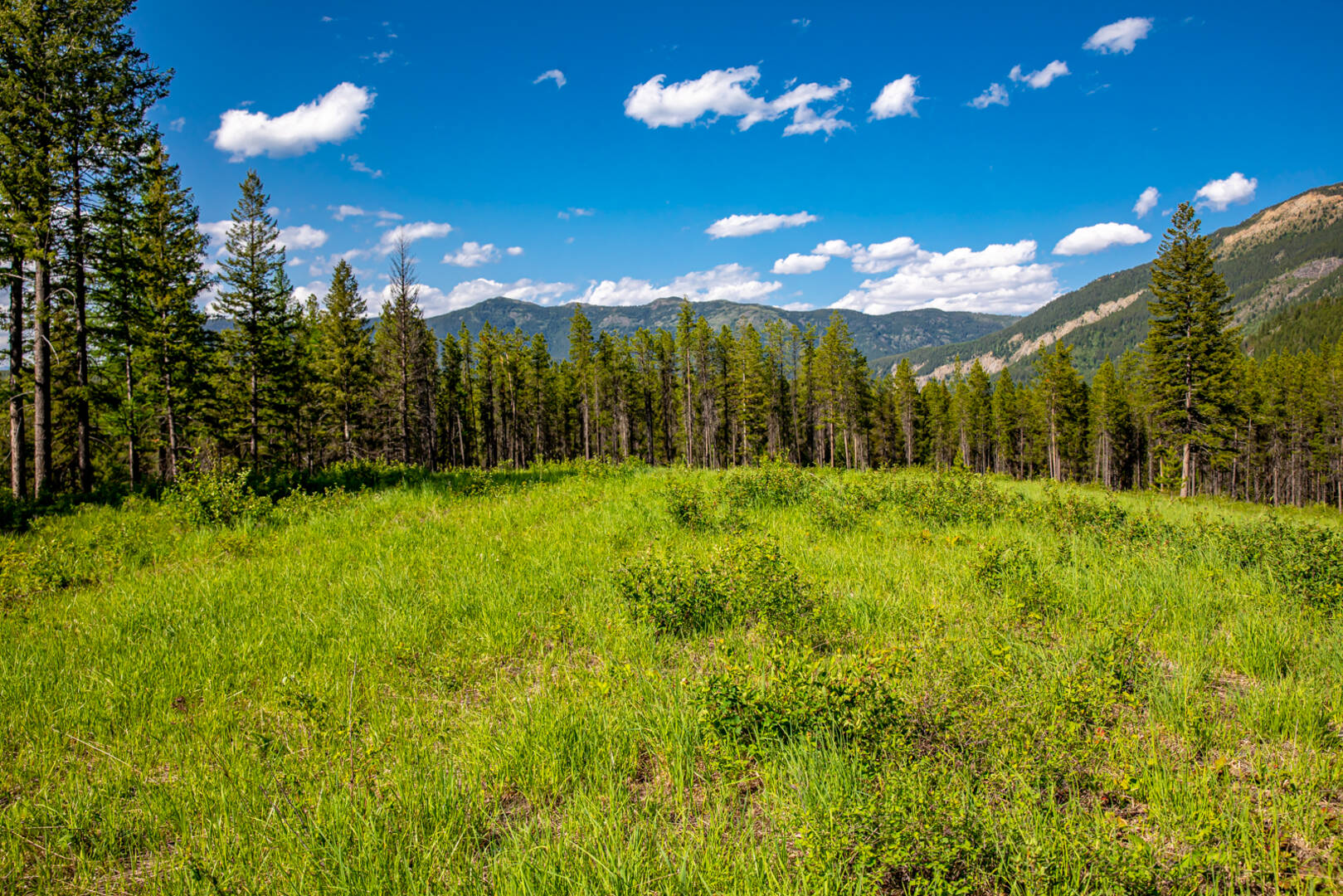 NHN Halfmoon Flats Rd West Glacier, MT 59936