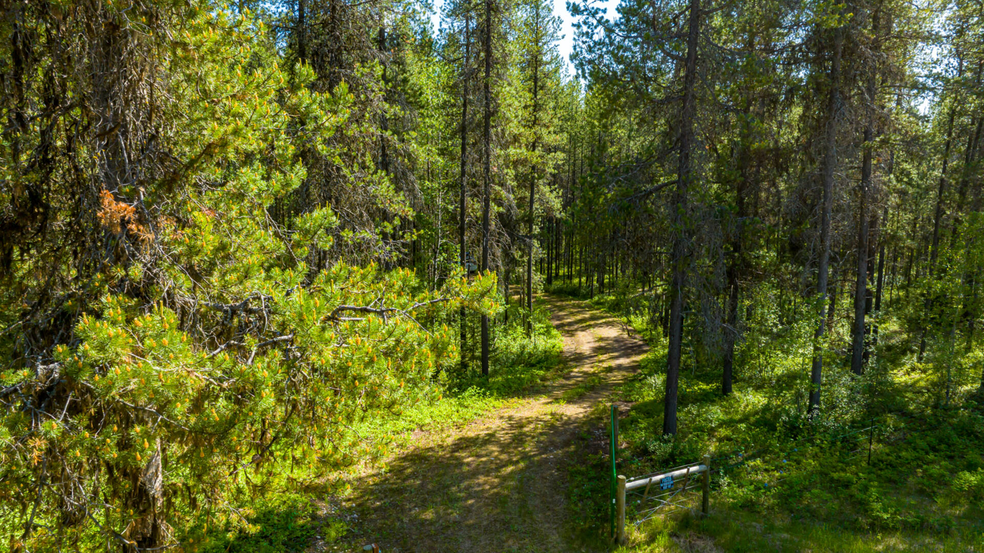 NHN Halfmoon Flats Rd West Glacier, MT 59936