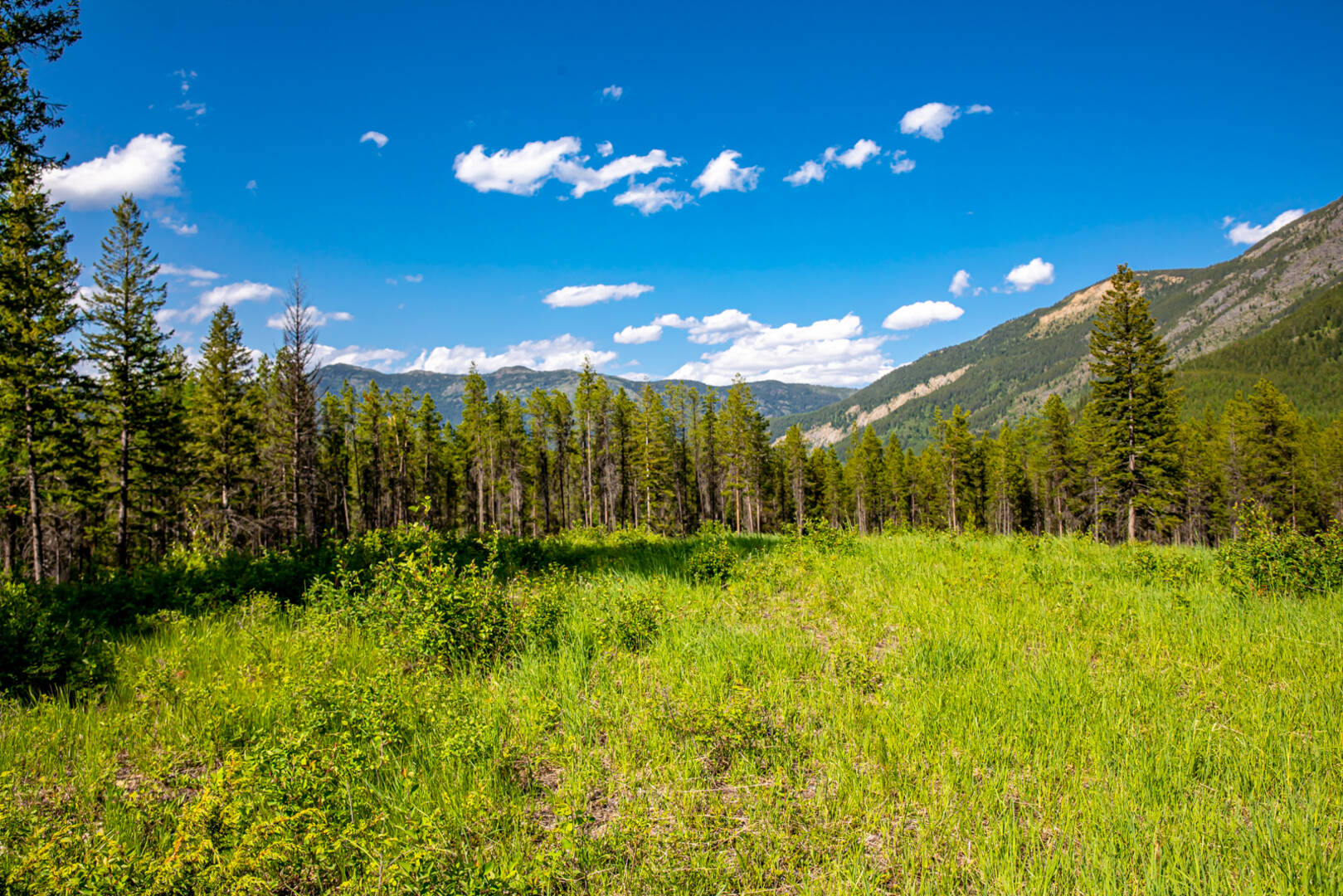 NHN Halfmoon Flats Rd West Glacier, MT 59936