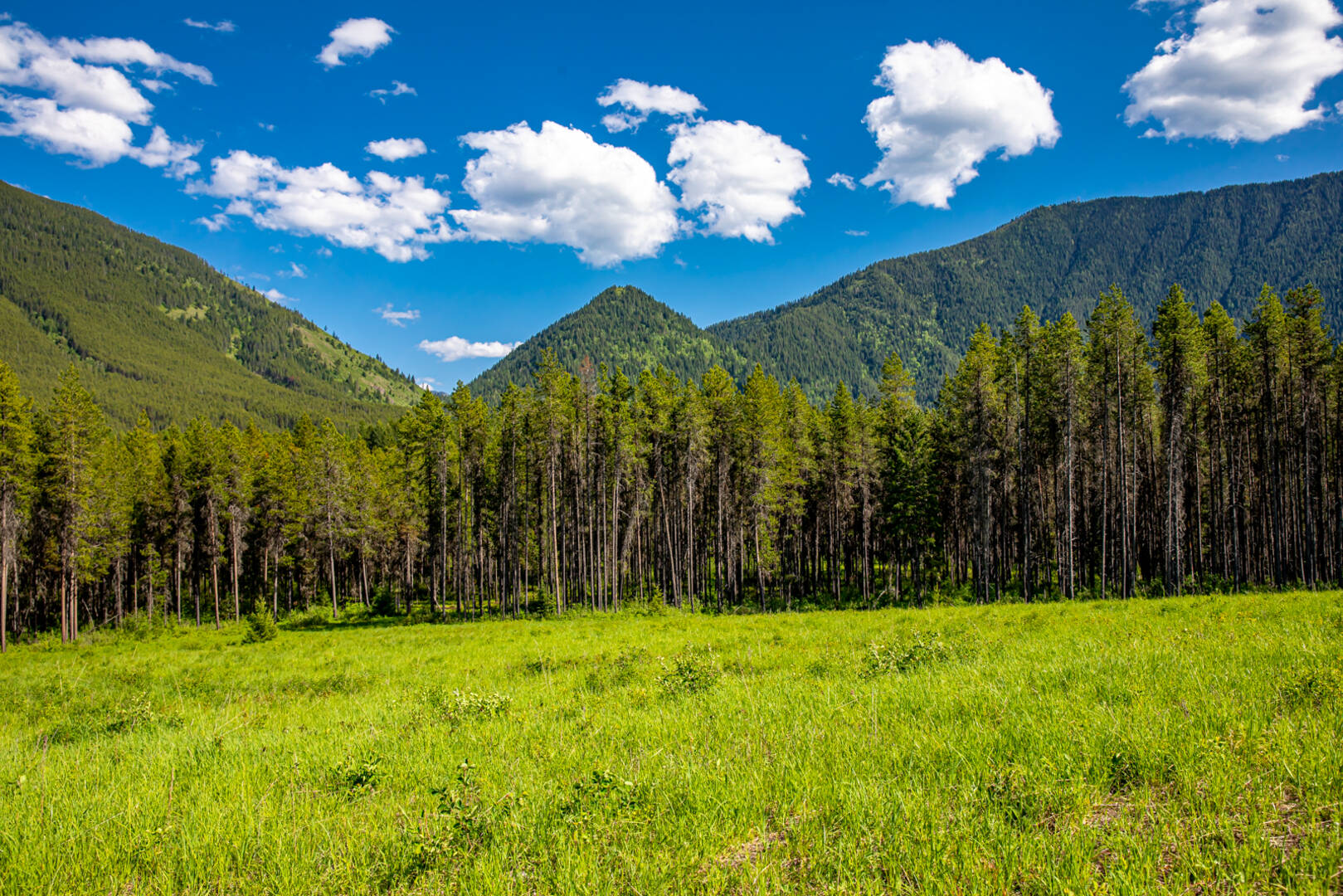 NHN Halfmoon Flats Rd West Glacier, MT 59936