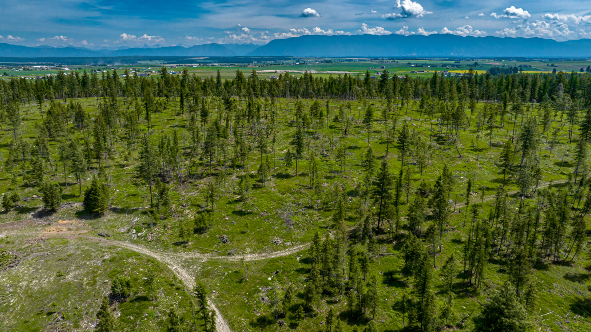 nhn Bald Rock Rd Kalispell, MT 59901