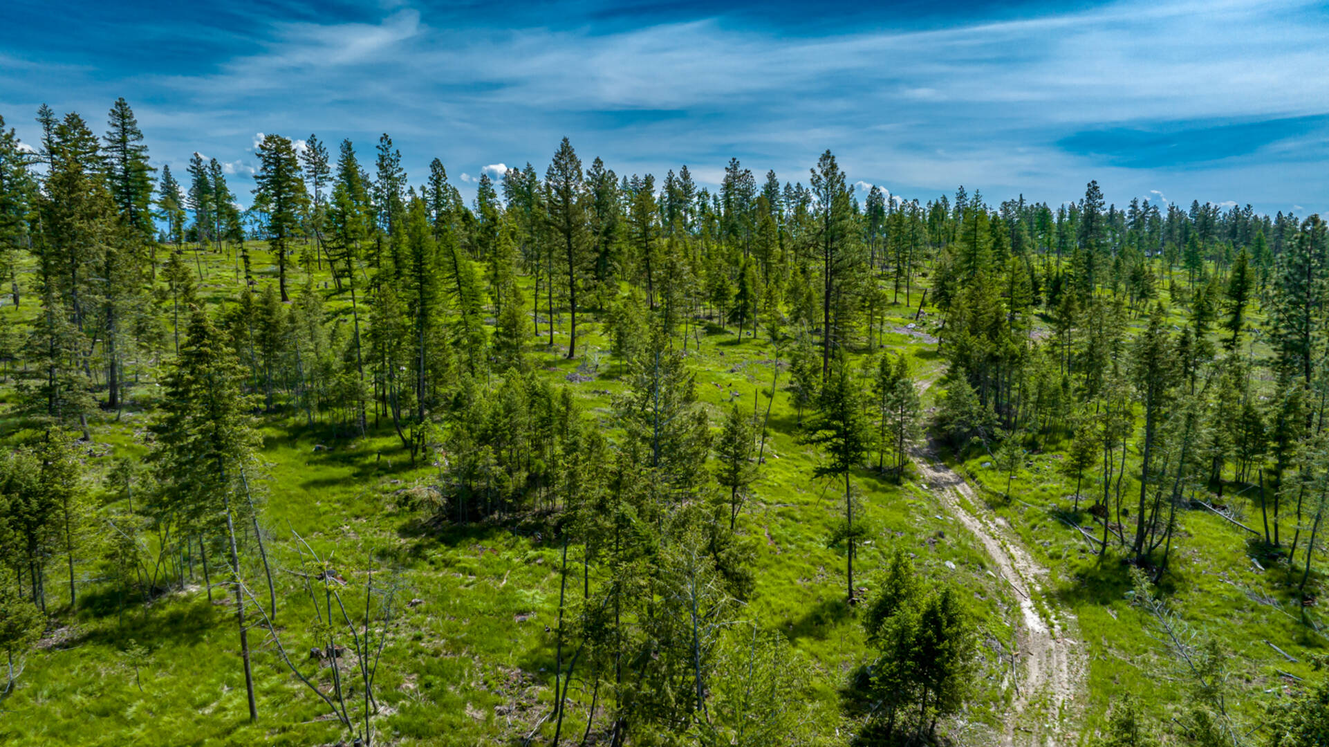 nhn Bald Rock Rd Kalispell, MT 59901