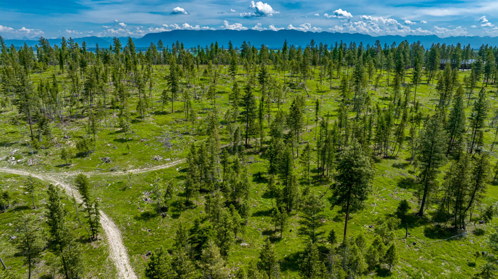 nhn Bald Rock Rd Kalispell, MT 59901