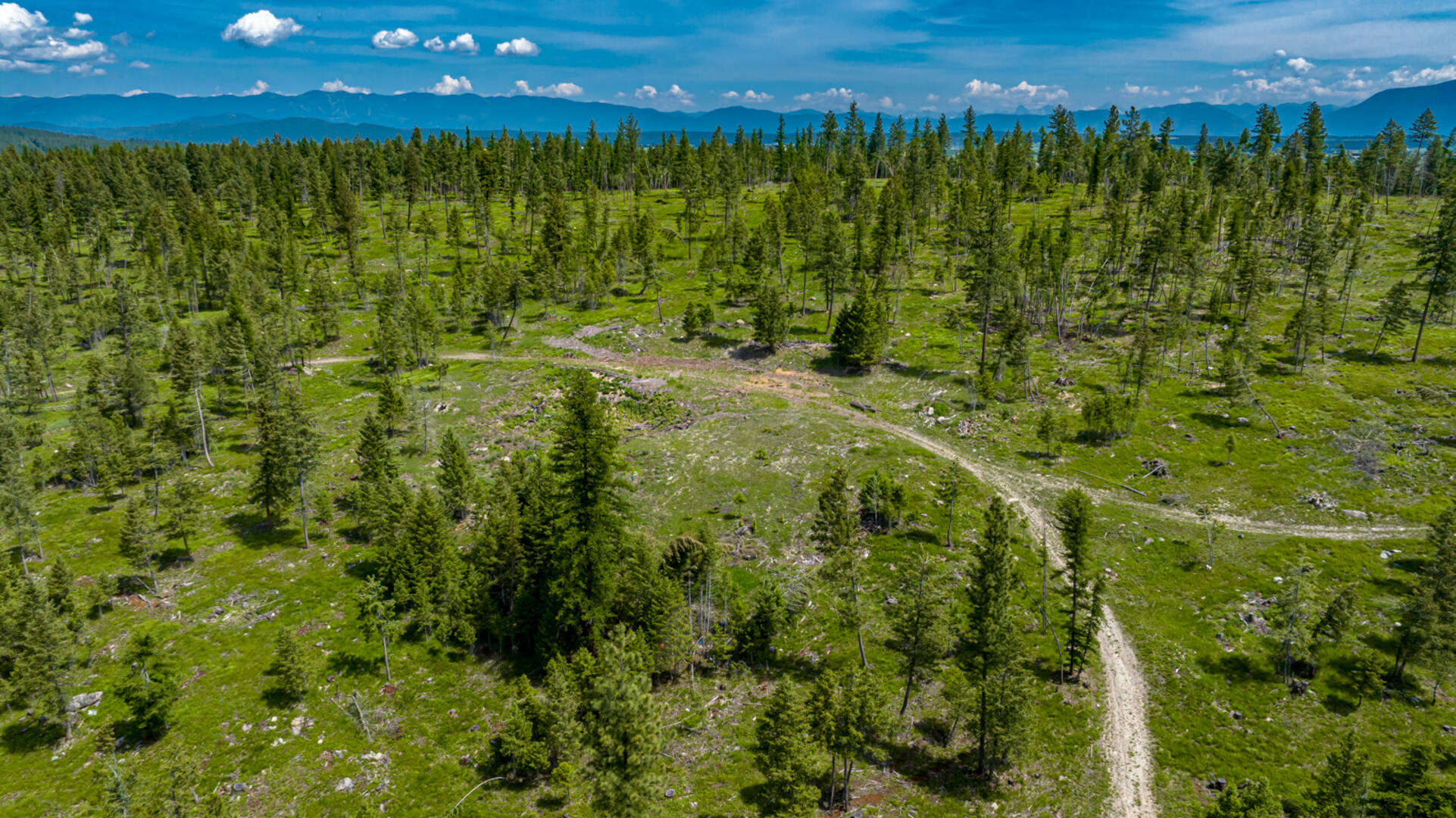 nhn Bald Rock Rd Kalispell, MT 59901