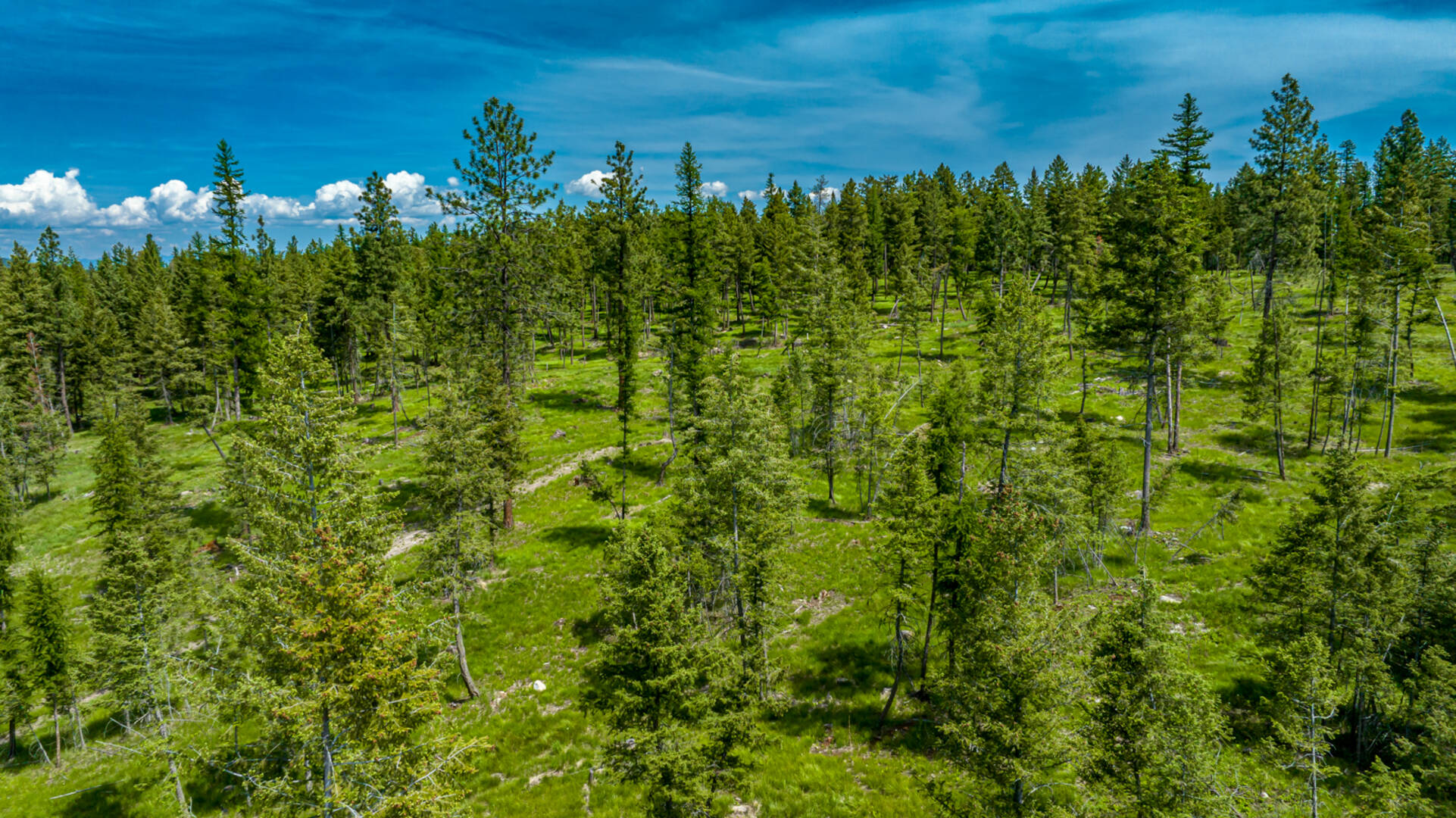 nhn Bald Rock Rd Kalispell, MT 59901