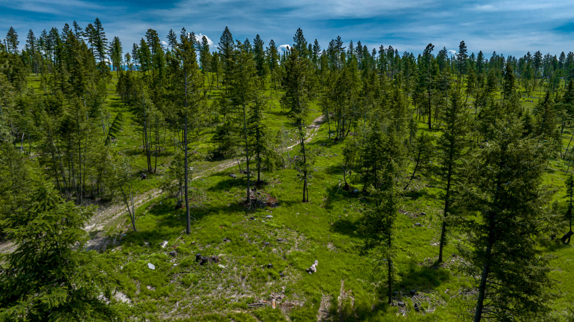 nhn Bald Rock Rd Kalispell, MT 59901