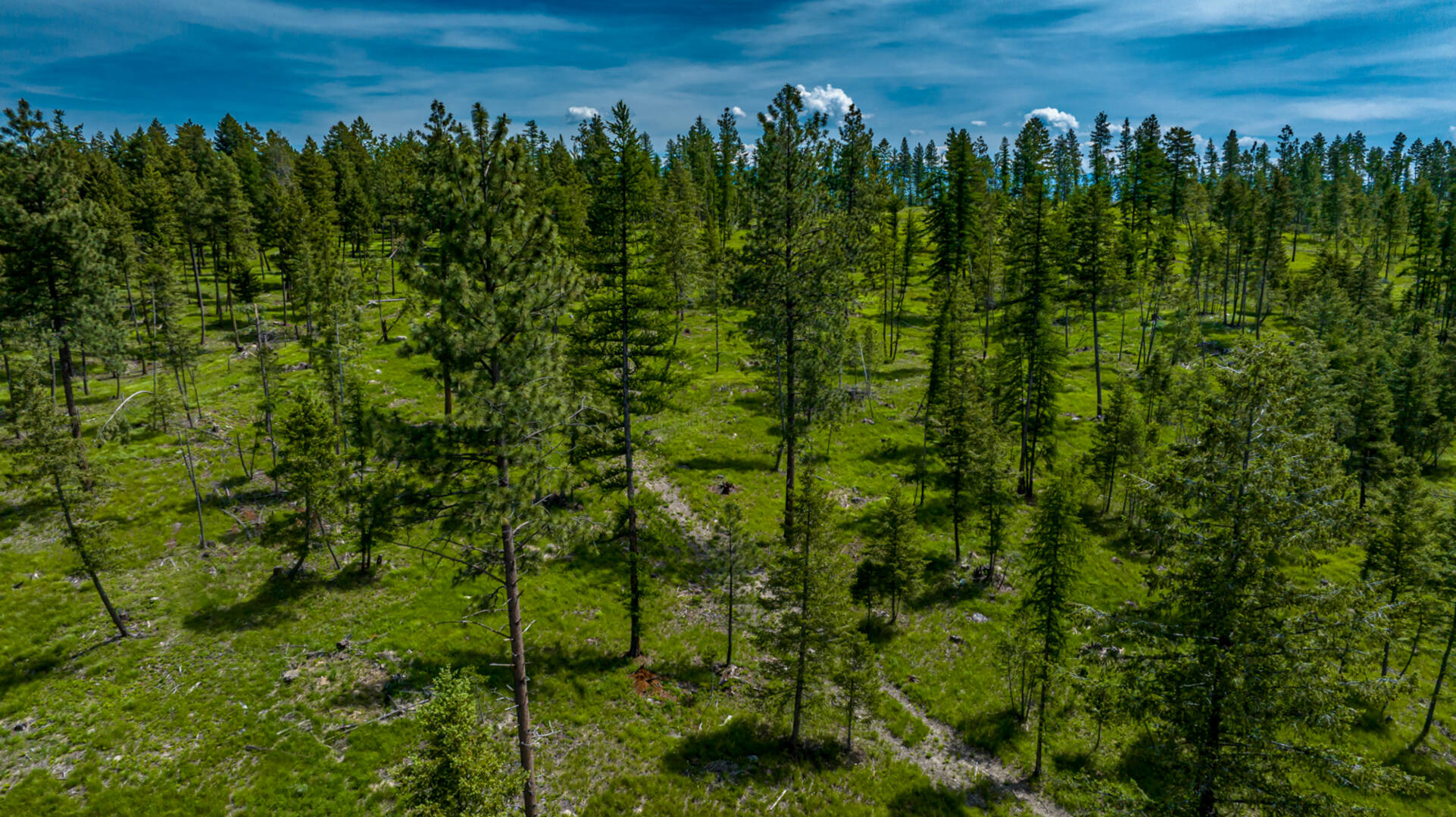 nhn Bald Rock Rd Kalispell, MT 59901