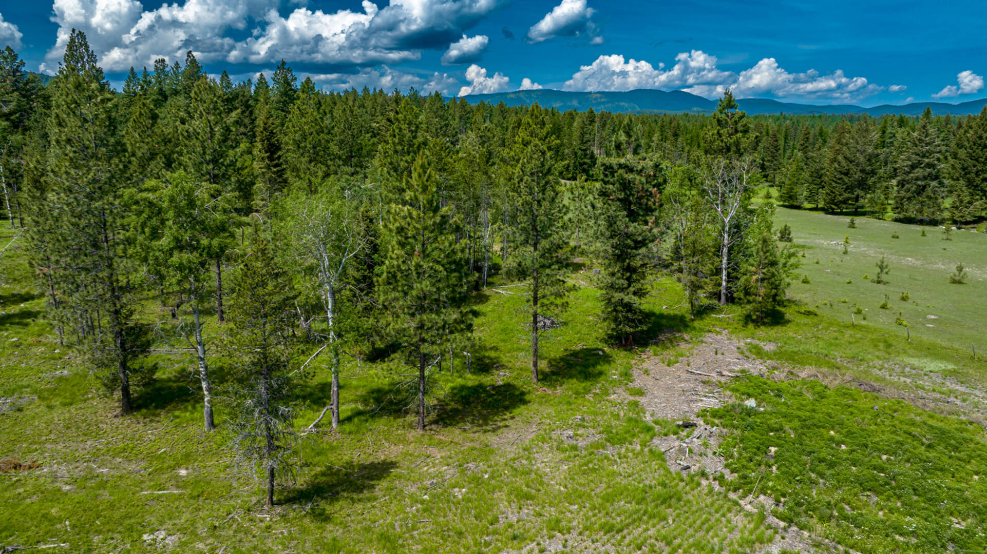 nhn Bald Rock Rd Kalispell, MT 59901