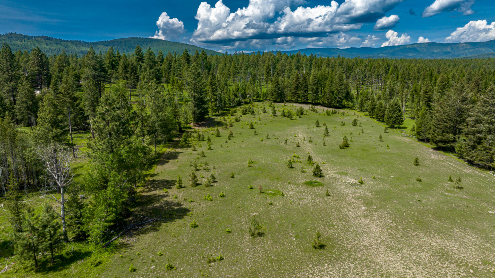 nhn Bald Rock Rd Kalispell, MT 59901