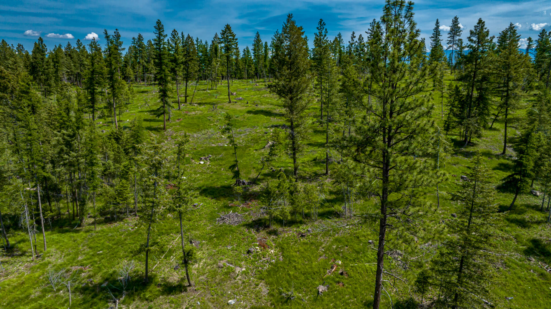 nhn Bald Rock Rd Kalispell, MT 59901
